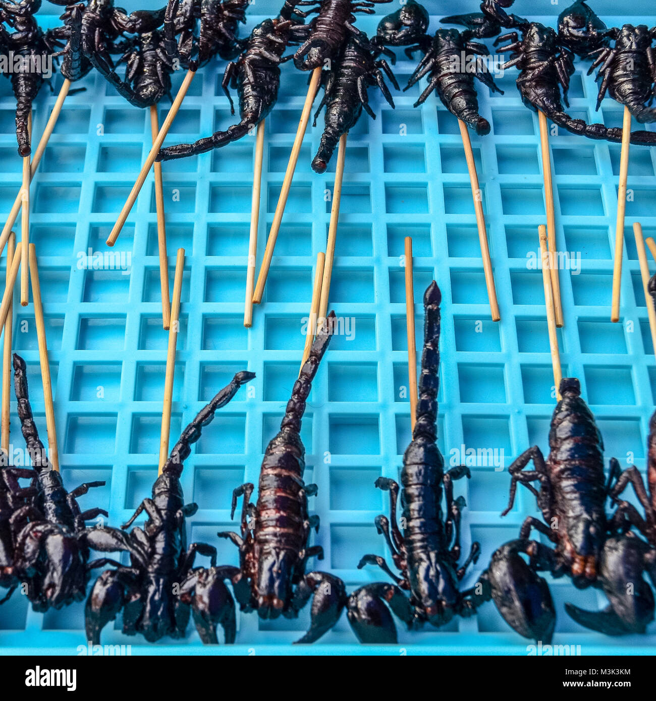 Fried Scorpion On A Stick