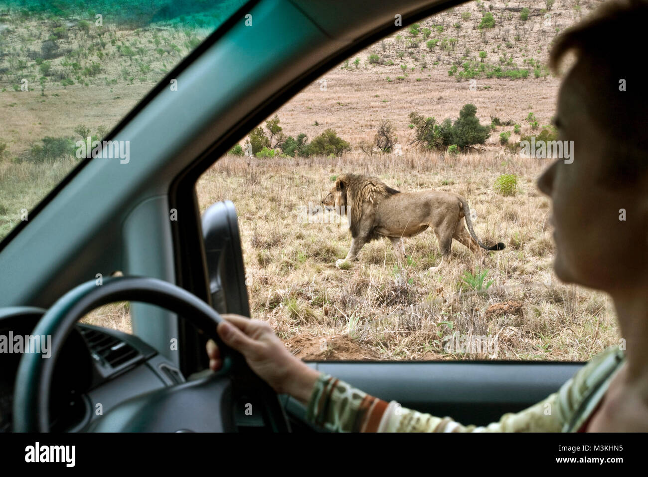 Rustenburg in north west province hi-res stock photography and images ...