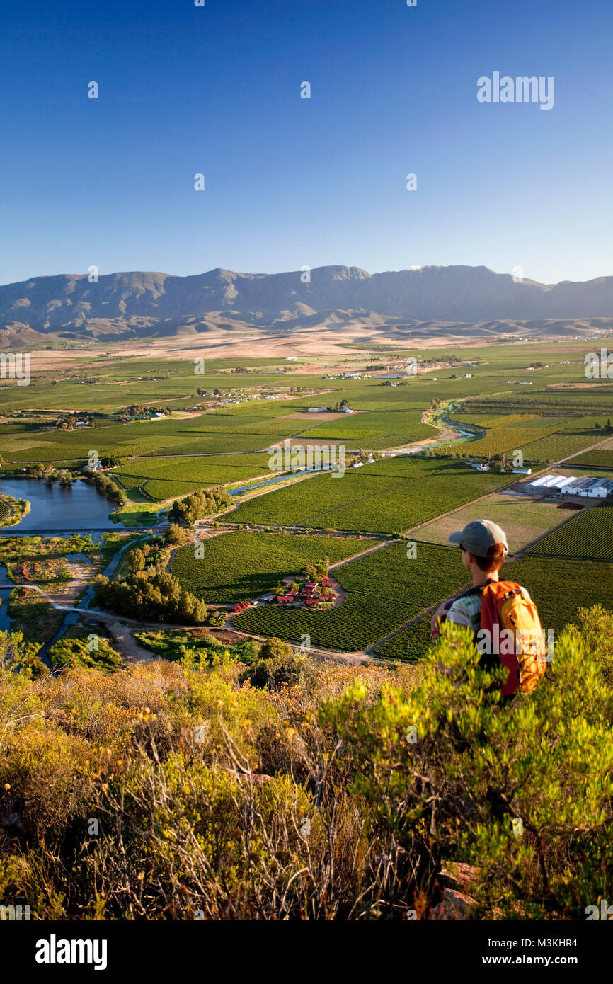 South Africa, Western Cape, Robertson, Robertson Wine Valley. Foreground: Van Loveren Wine Estate. Hiker on Fish Eagle Trail. Stock Photo