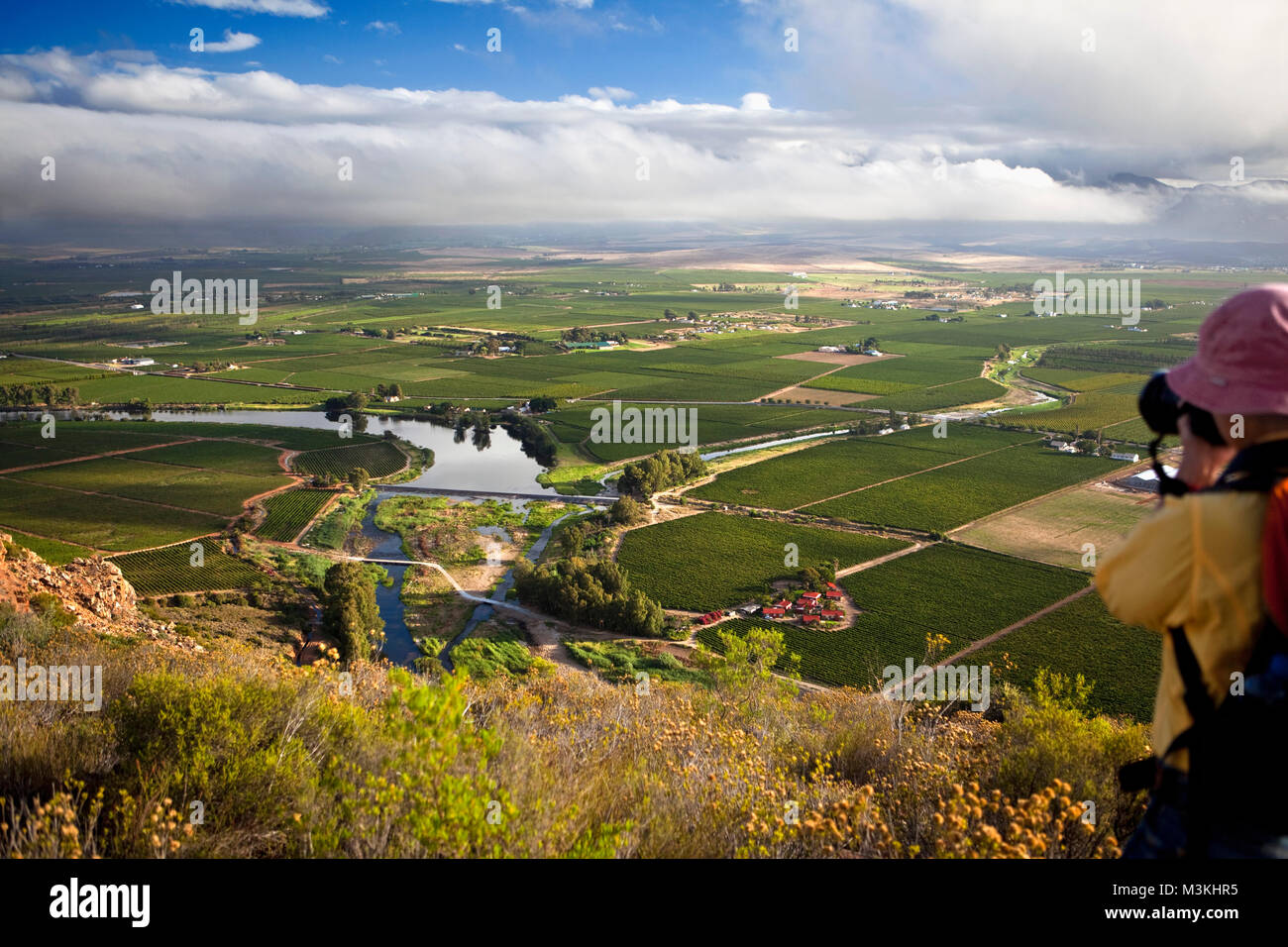 South Africa, Western Cape, Robertson, Robertson Wine Valley. Foreground: Van Loveren Wine Estate. Hiker on Fish Eagle Trail. Stock Photo