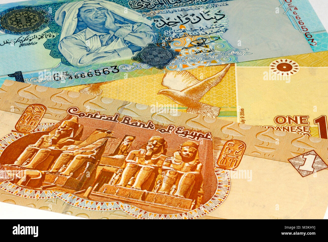 North Africa Currency Bank Notes Stock Photo
