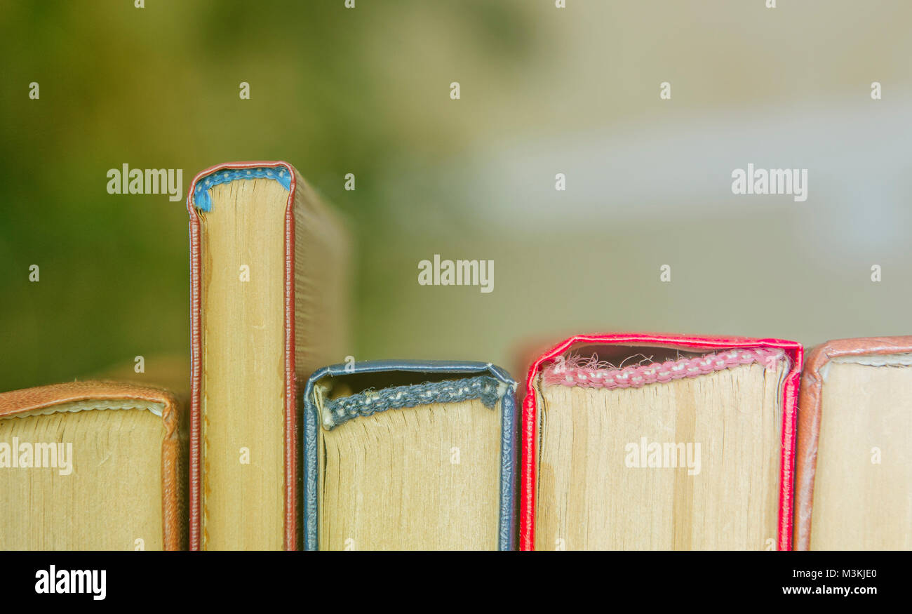 A stack of colorful books. Education, knowledge, learn, study and