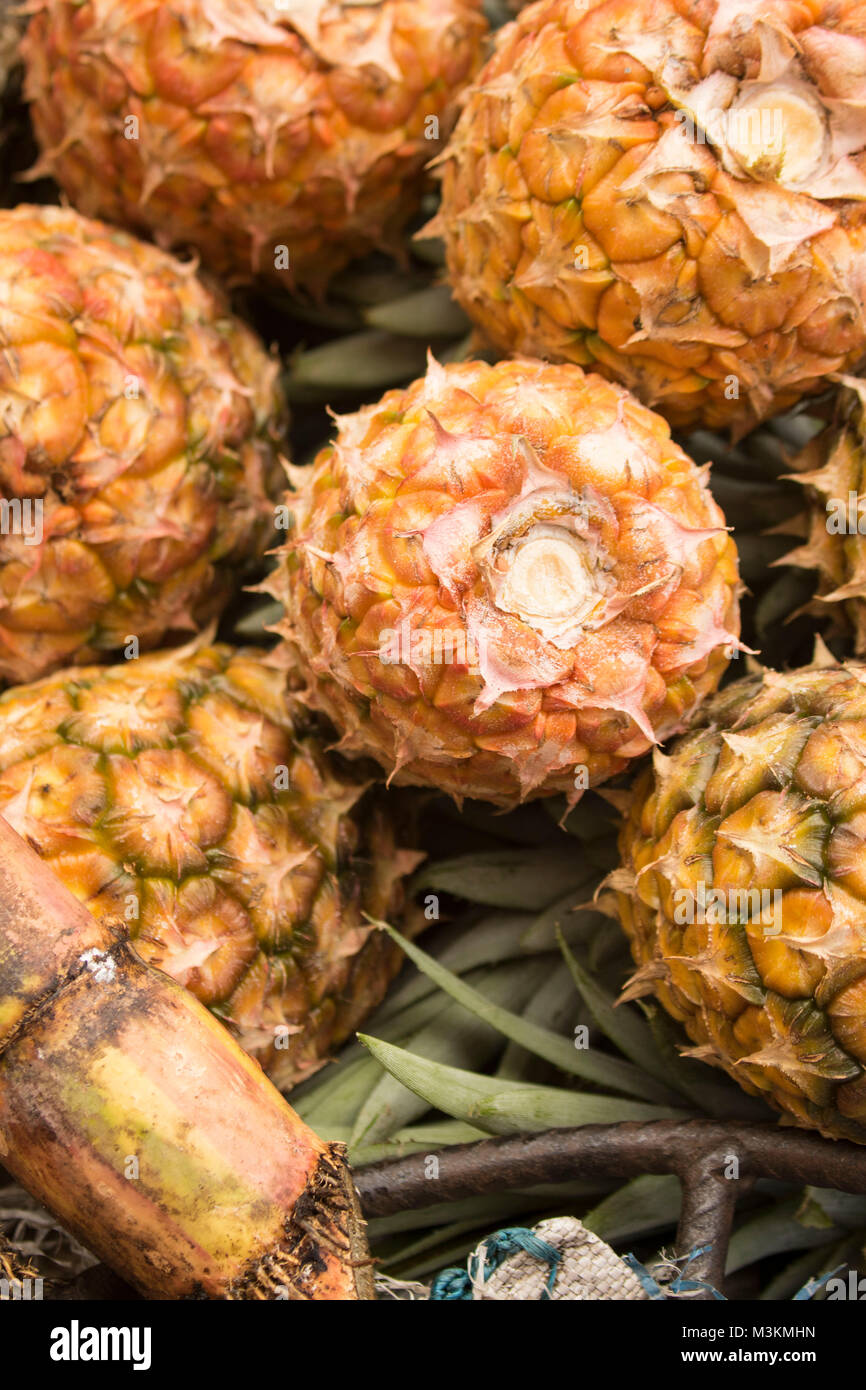 Pile of pineapples on a market stall in Brown's Town, Jamaica, West