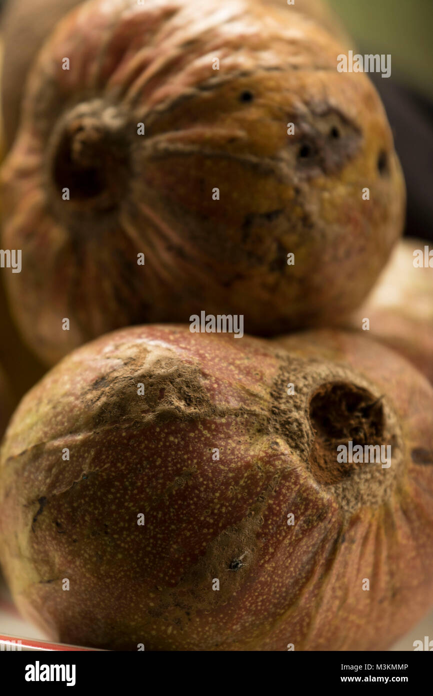 Mamey Apple Stock Photos & Mamey Apple Stock Images Alamy