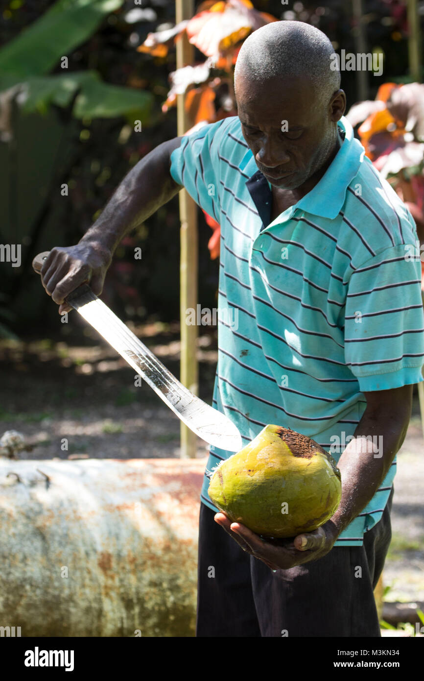 Water coconut preparation demonstration at the Sun Valley plantation