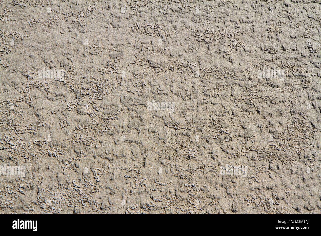 White sand close up hi-res stock photography and images - Alamy