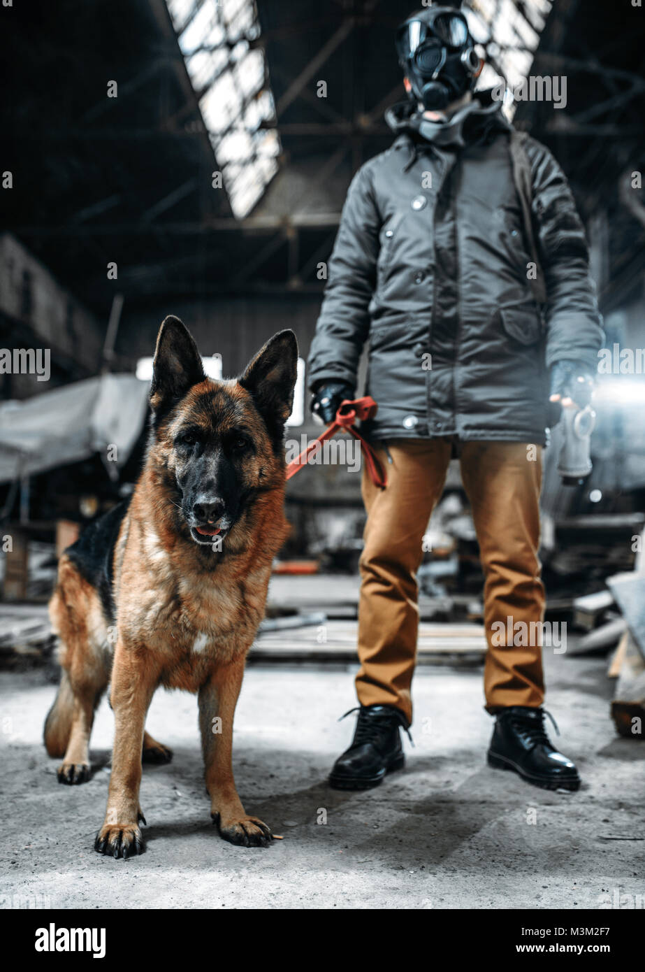 Stalker soldier in gas mask and dog in radioactive zone, friends in post apocalyptic world. Post-apocalypse lifestyle on ruins, doomsday, judgment day Stock Photo