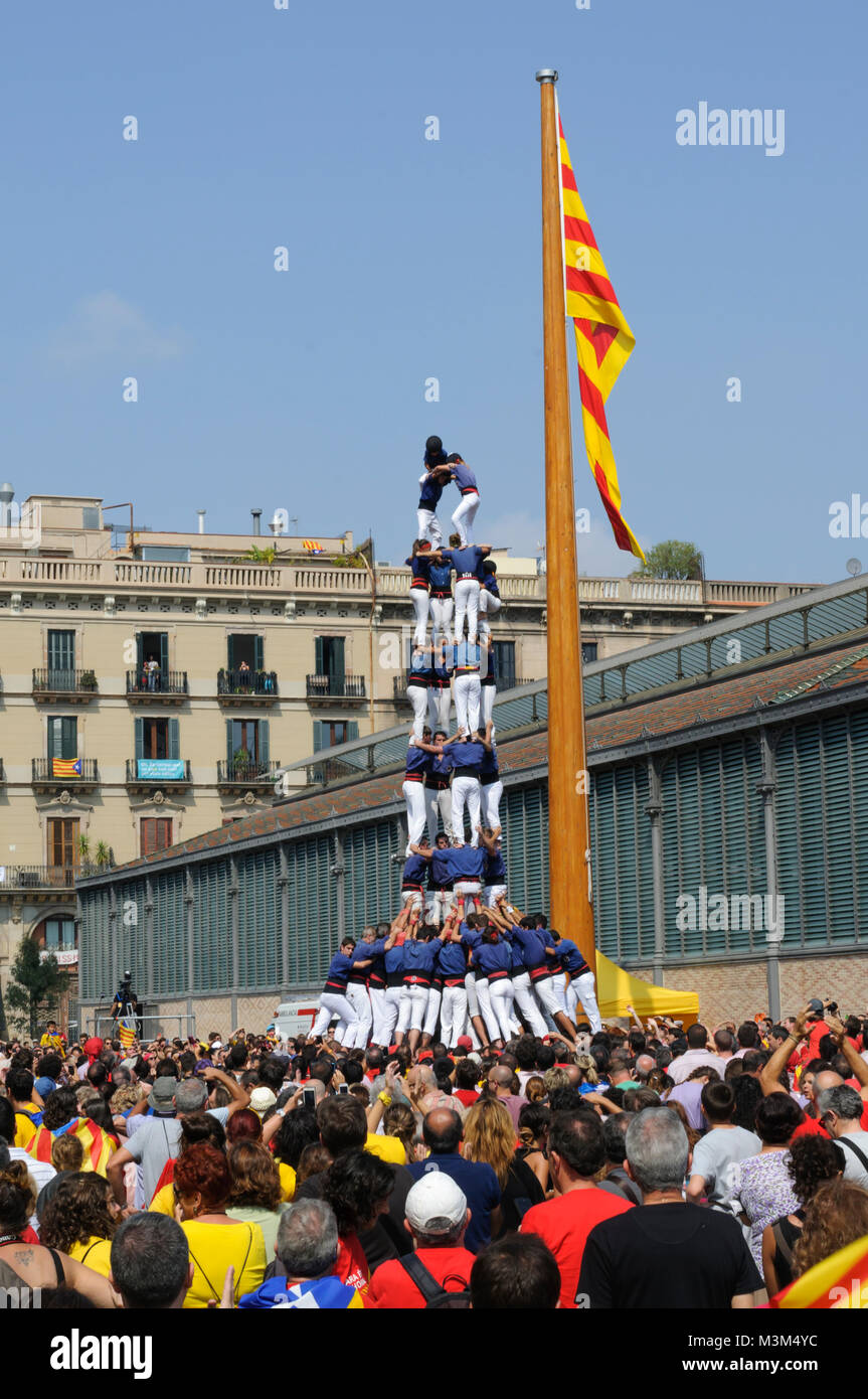 Katalanische Menschentuerme, Castells zum Nationalfeiertag in Barcelona 11.09.2014. Die Castells symbolisieren die Solidaritaet und Stabilitaet der katalanischen Nation. Stock Photo