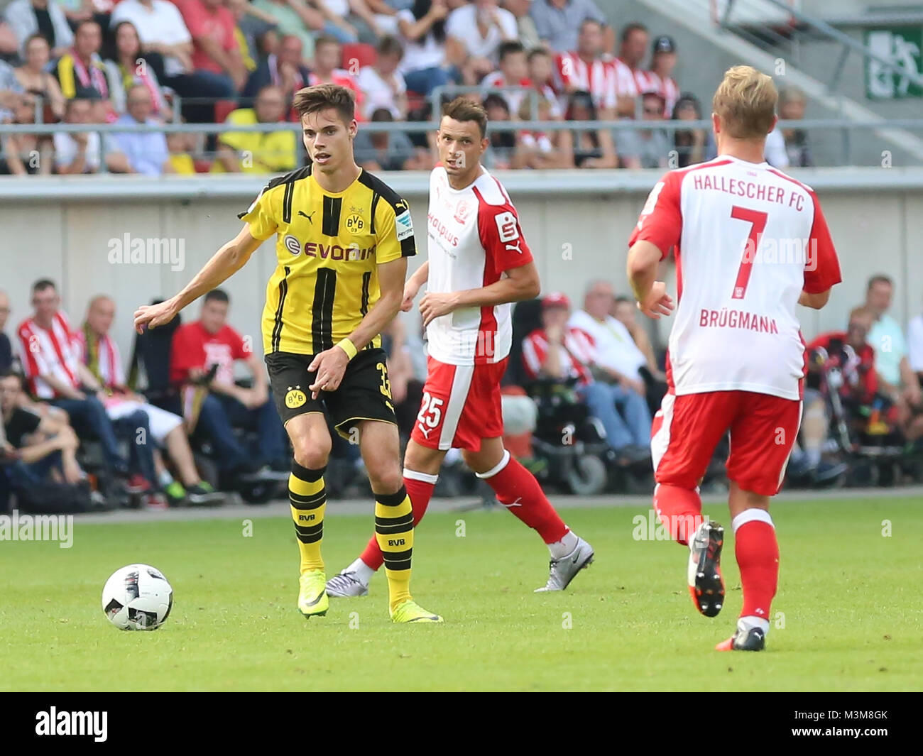 Testspiel Hallescher FC gegen Borussia Dortmund am 23.08.2016 im Erdgas Sportpark Halle/Saale Stock Photo