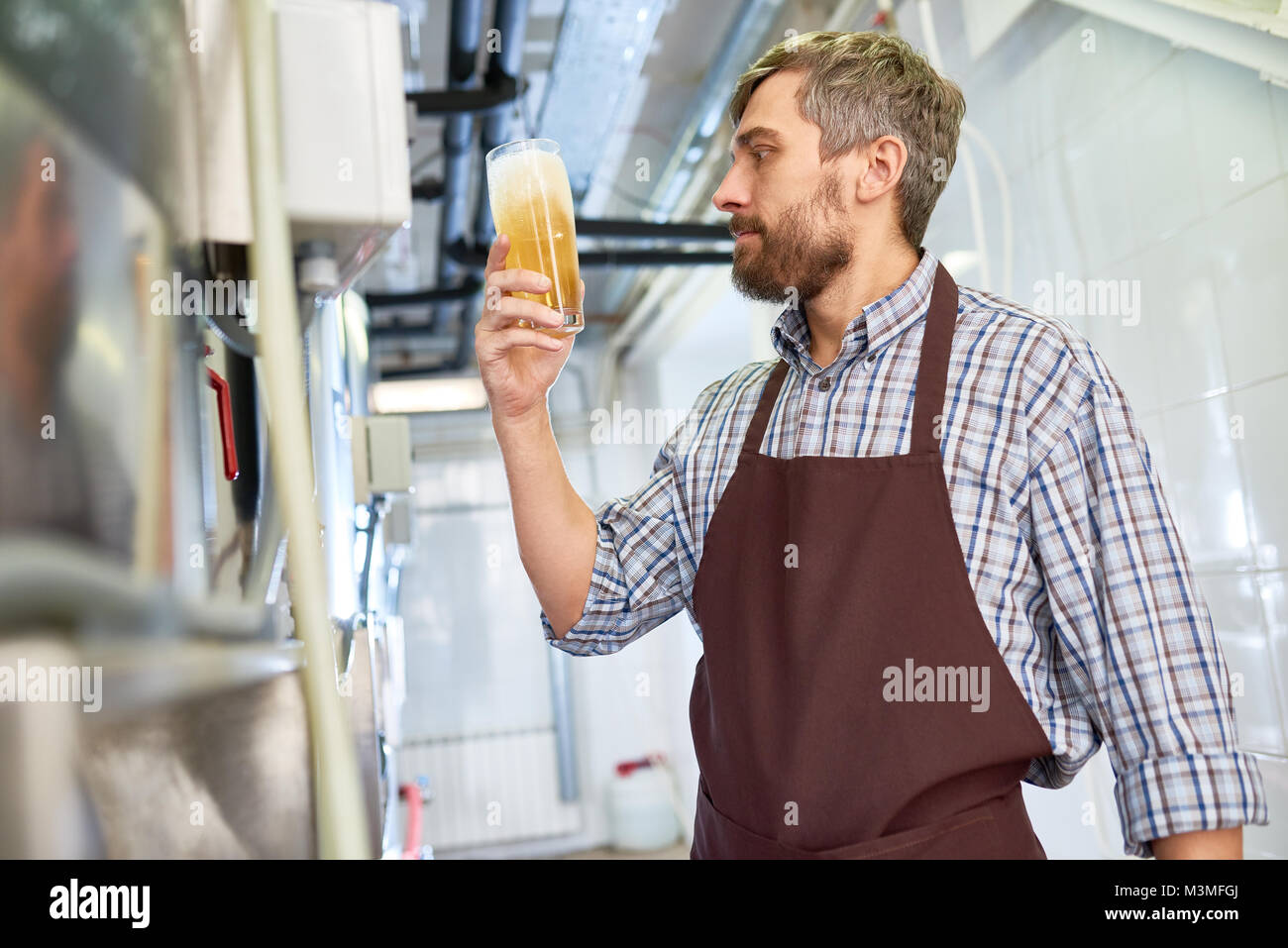 Quality control expert working at brewery plant Stock Photo Alamy
