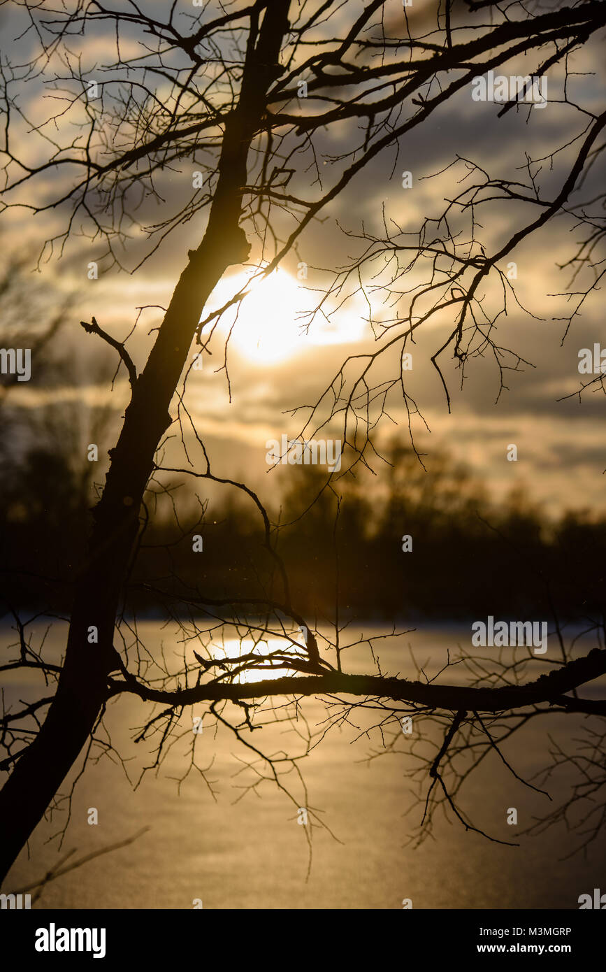 colorful winter sunset on frozen river ice with tree silhouettes and ...