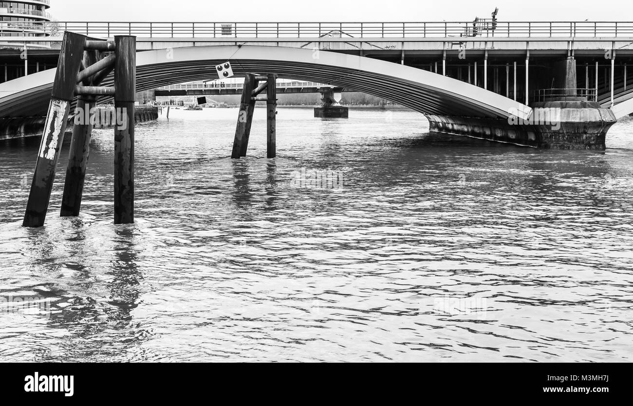 next petite sweatshirts