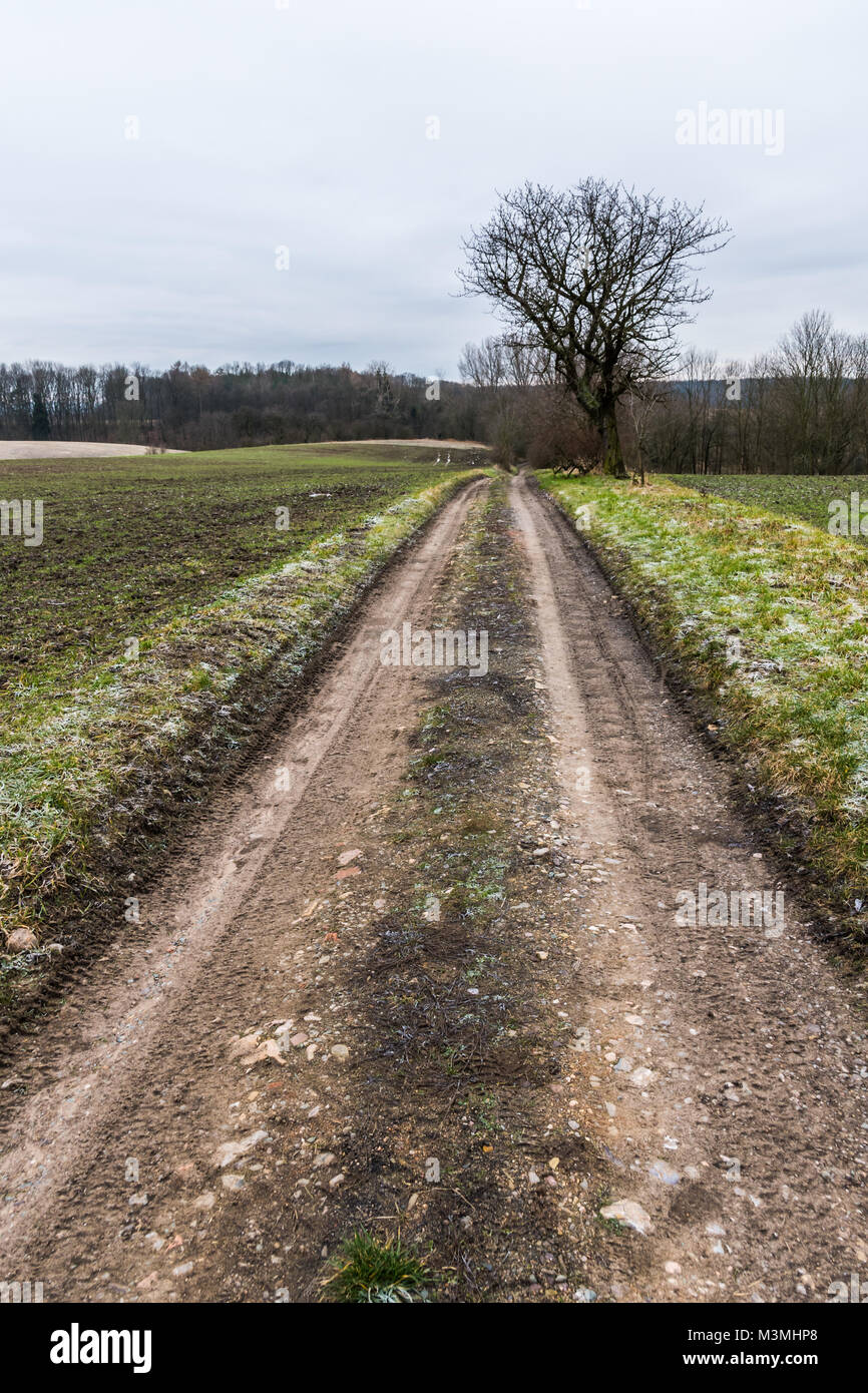 Beautiful winter landscape with a dirty road to the forest. A frozen ...