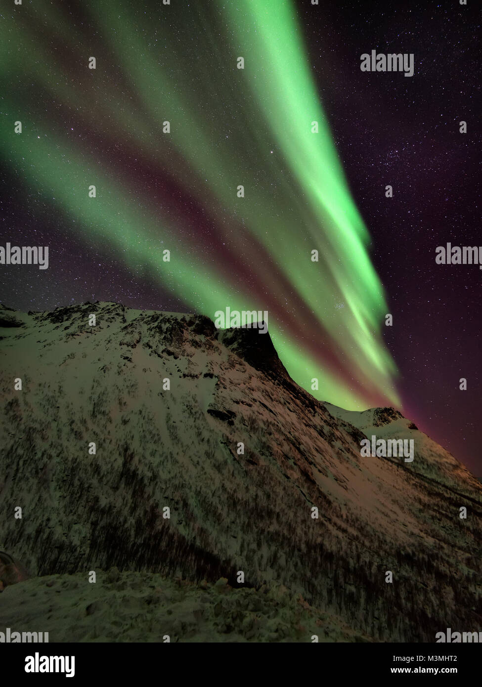Lofoten Islands Northern Lights Aurora Borealis Norway taken in 2016 ...