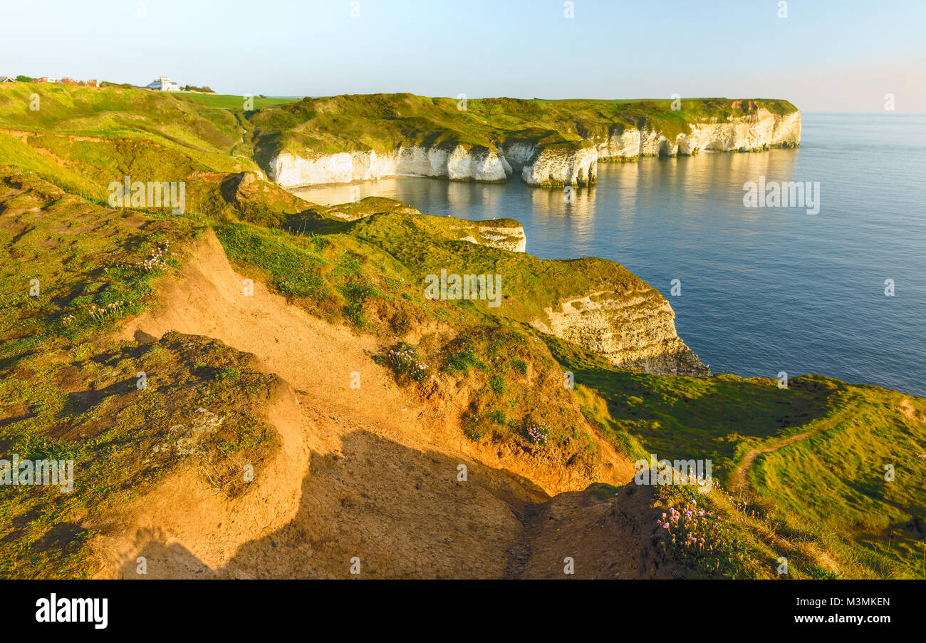 Eroded chalk cliffs along the North Sea coastline viewed for high position as dawn breaks at Flamborough, Yorkshire, UK. Stock Photo
