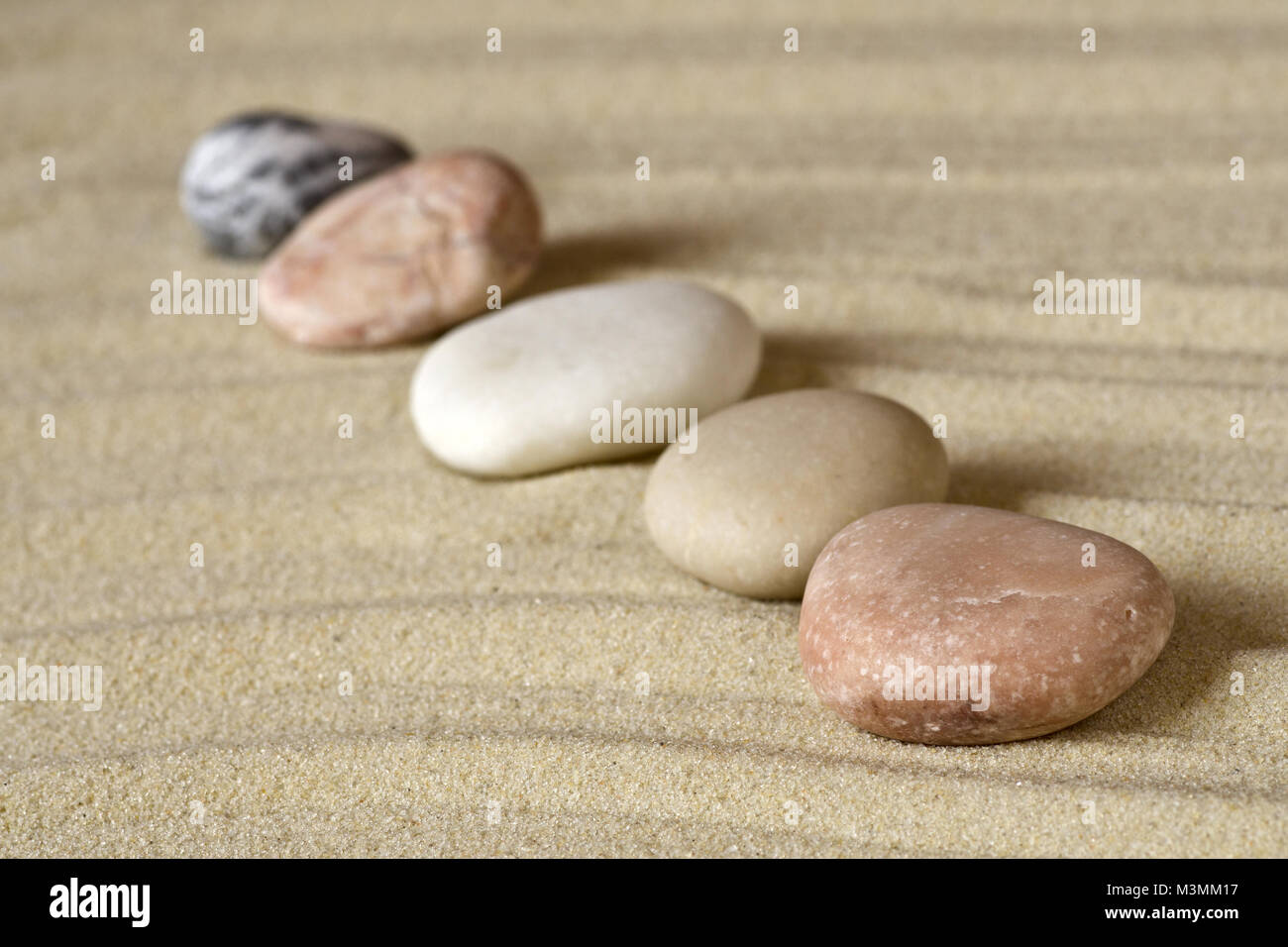 Row of pebbles on sand beach Stock Photo