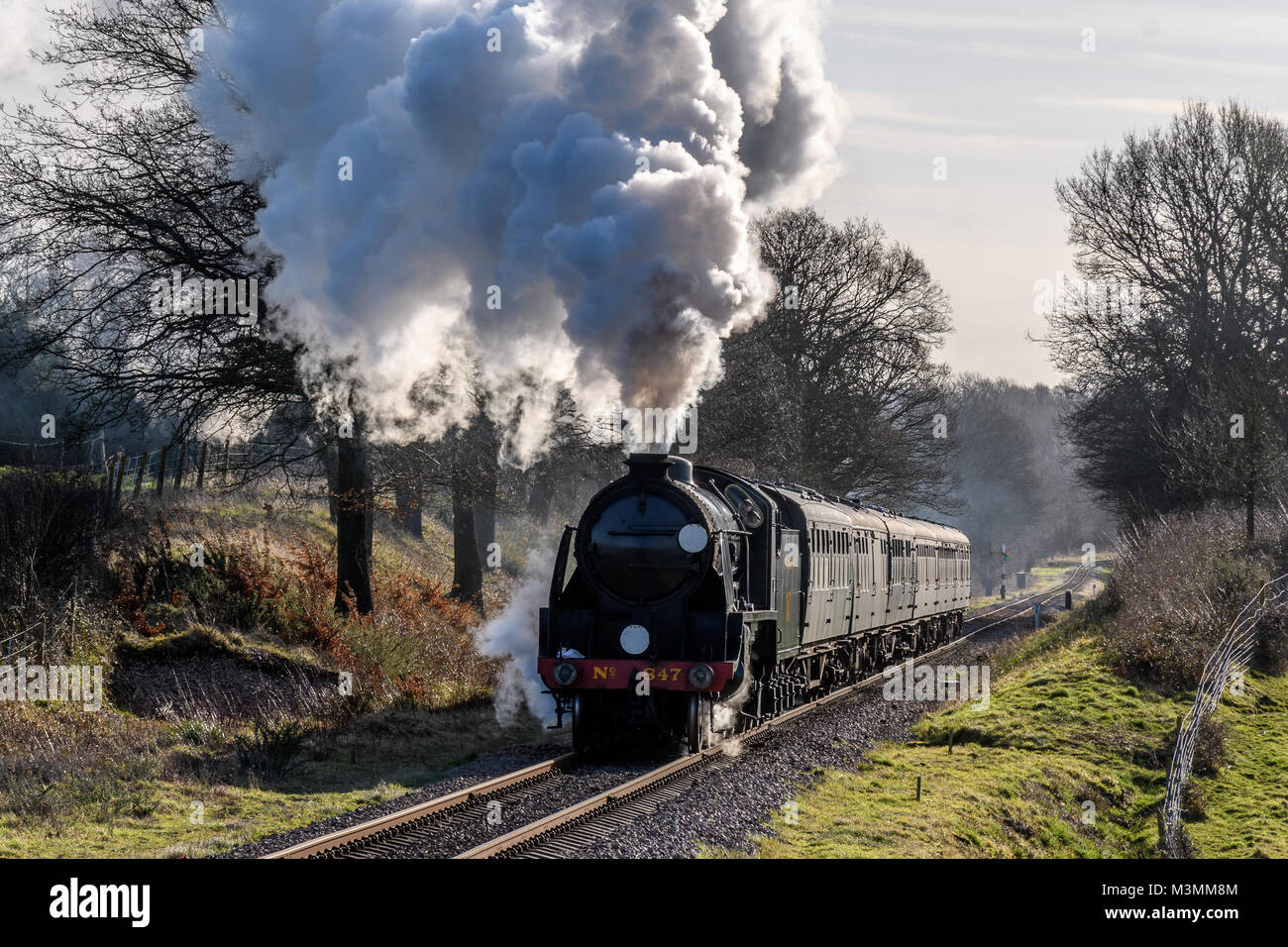 Lineside Photograph on the Bluebell Railway Stock Photo Alamy