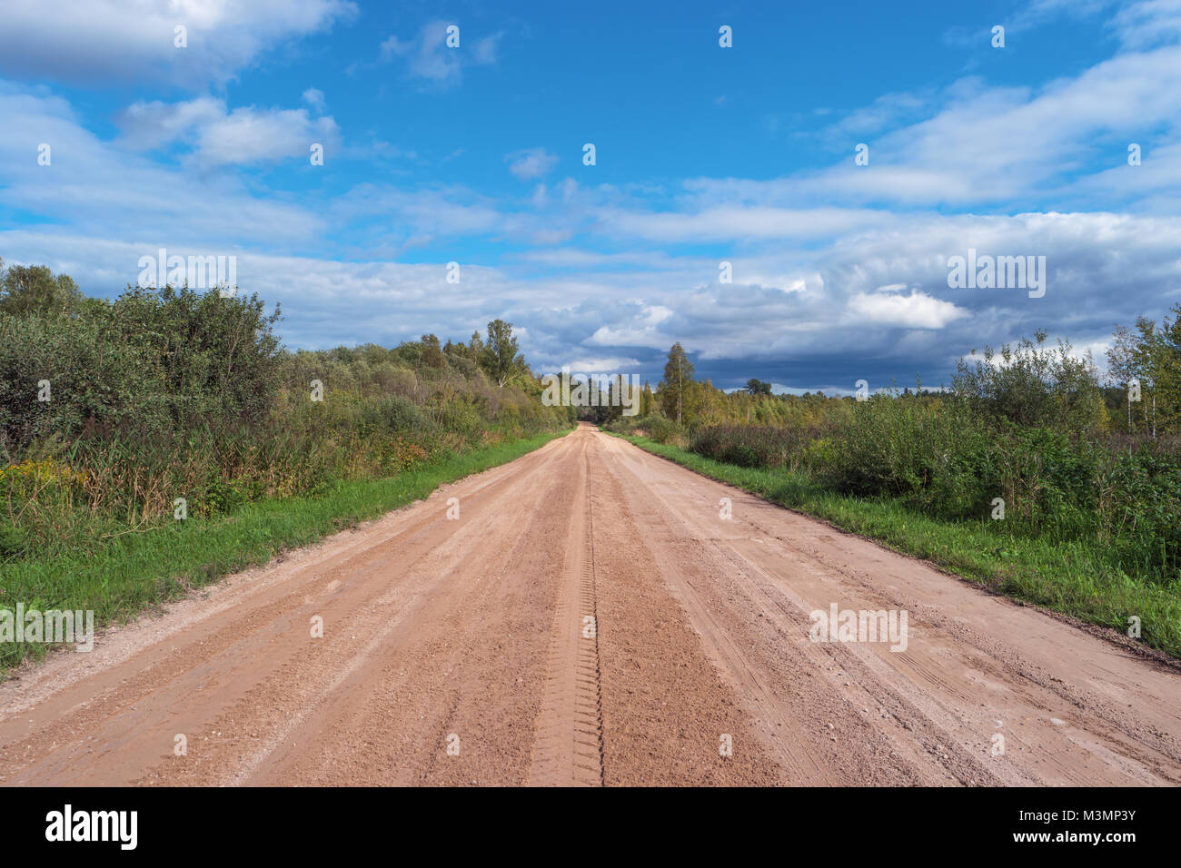 Scenic gravel road in forest. Rural country road. Adventure ecological tourism concept. Beautiful nature. Green trees, grass and blue cloudy sky. Long Stock Photo