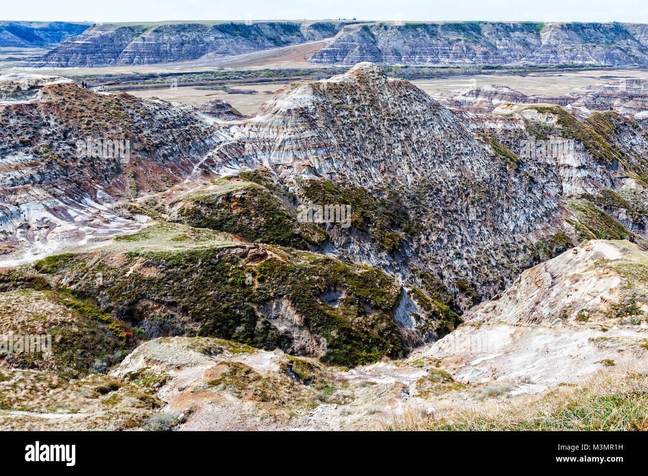 Canadian badlands near drumheller hi res stock photography and images