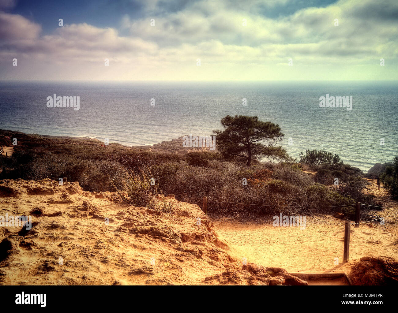 Torrey Pines State Park USA taken in 2015 Stock Photo