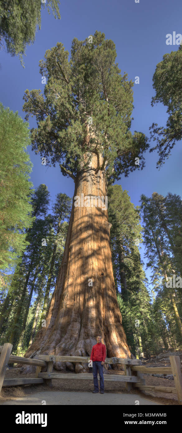 Stitched Panorama Stock Photo