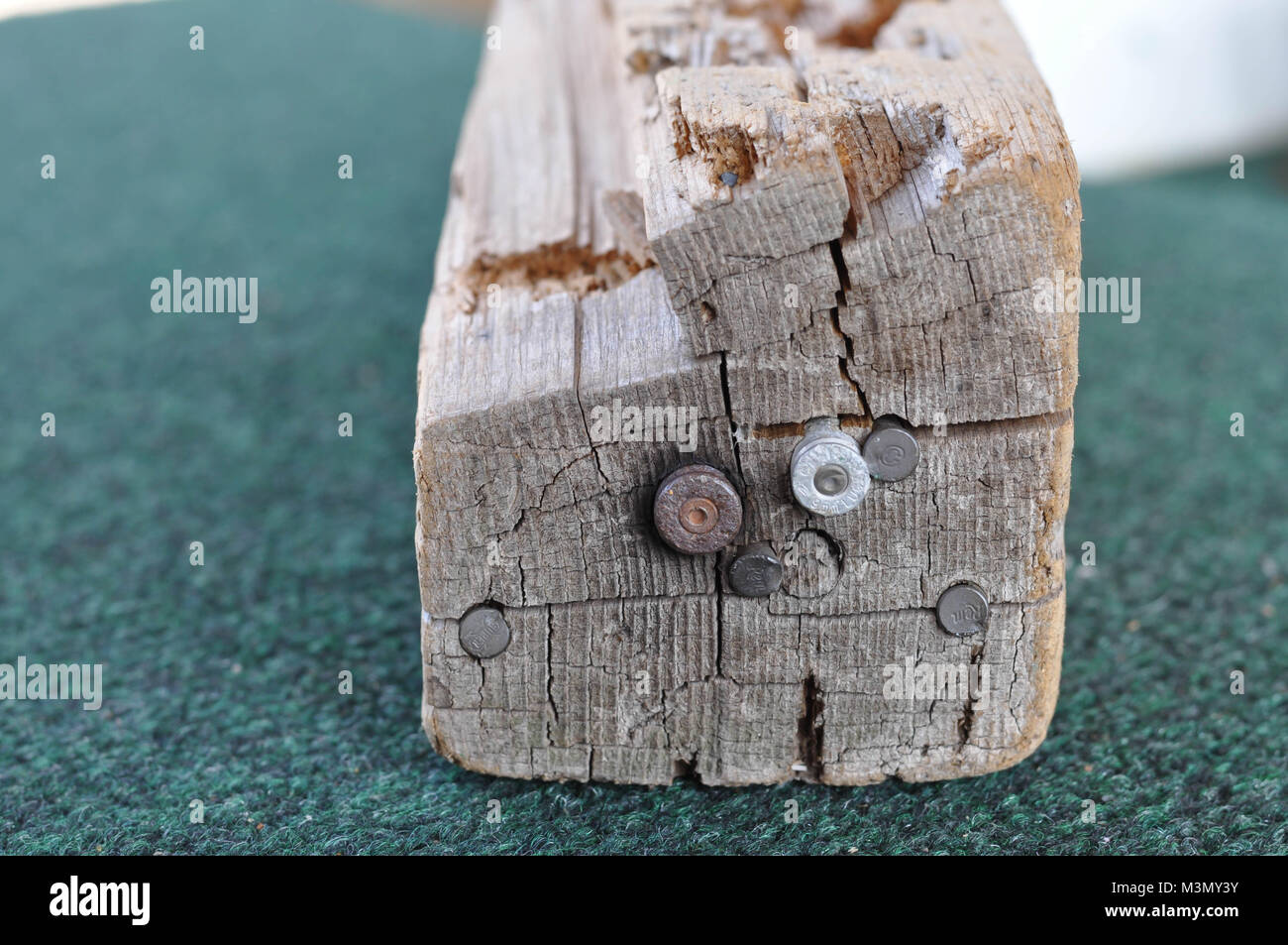 Bullets Shot into a Wood Log Stock Photo Alamy