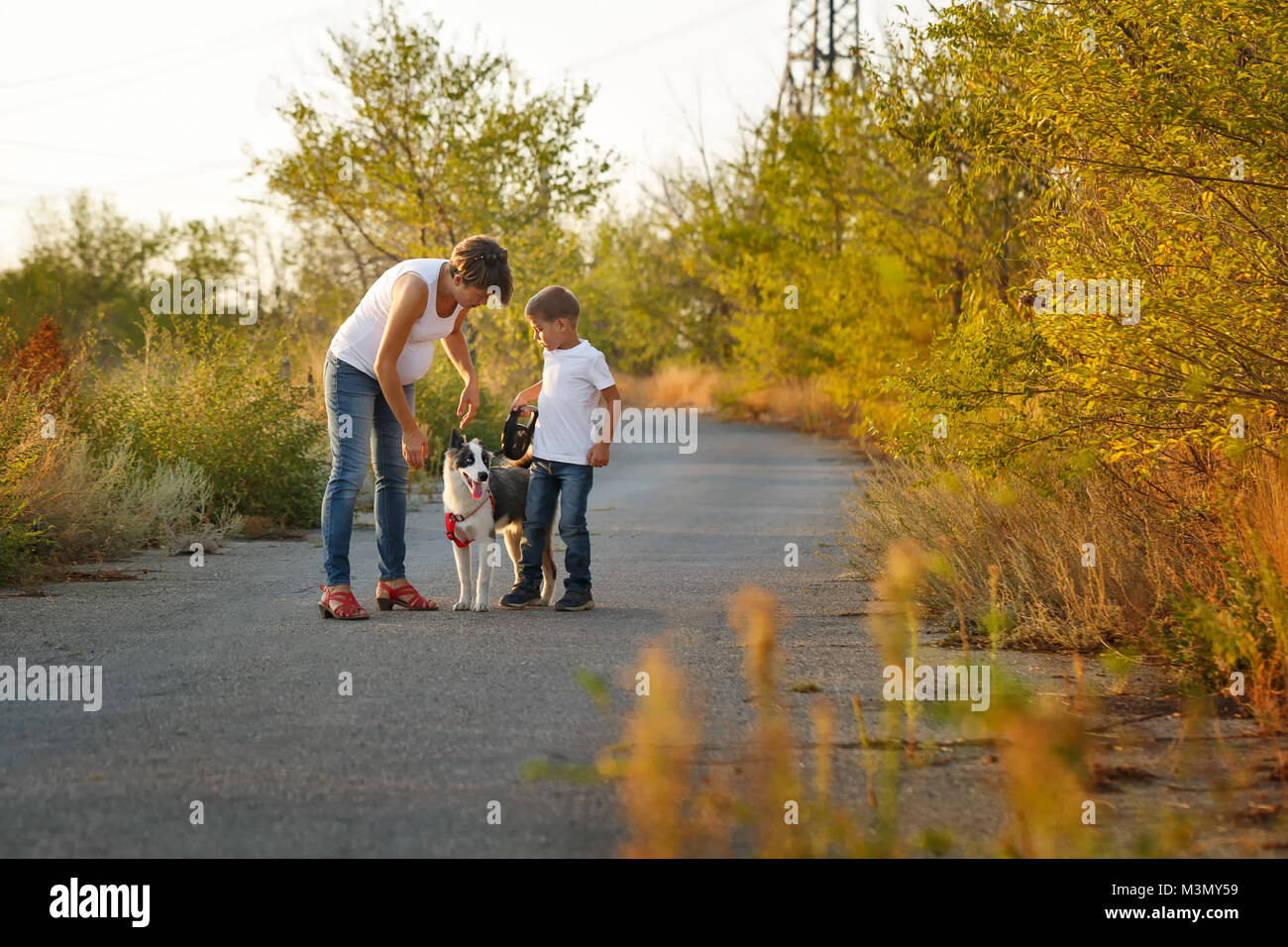 Family time. A pregnant mother walks with her son and a dog on a rural road. Pedigree dog Yakut Husky. Stock Photo