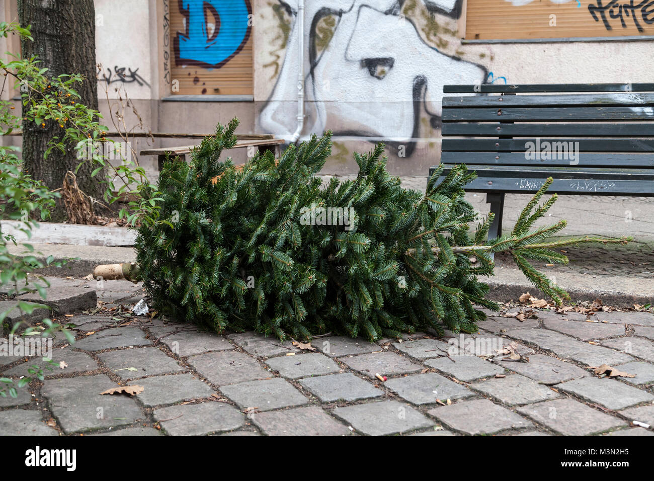 Berlin Tannenbaum 2025 Kata Tricia