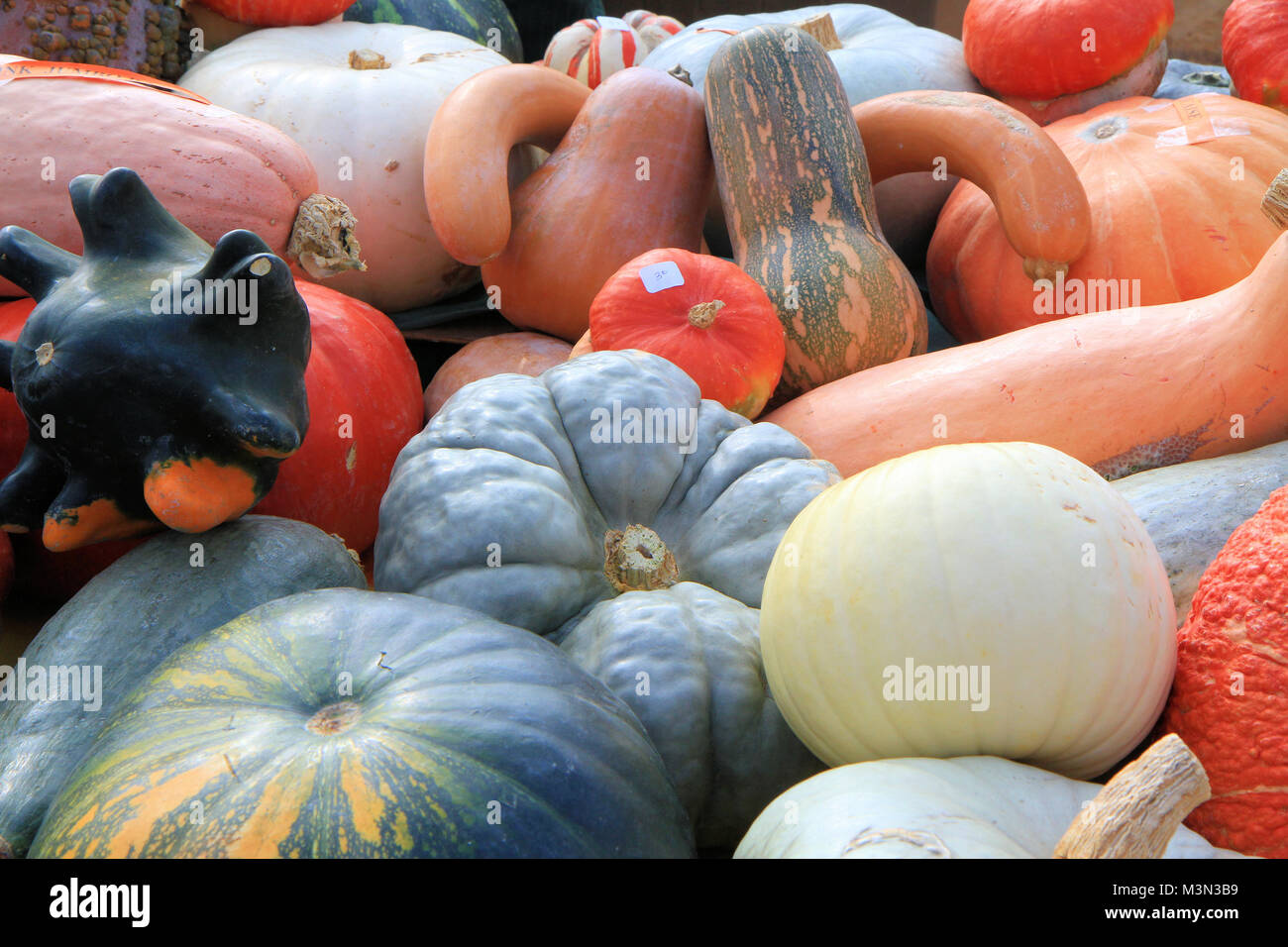 Stack of pumpkins Stock Photo - Alamy