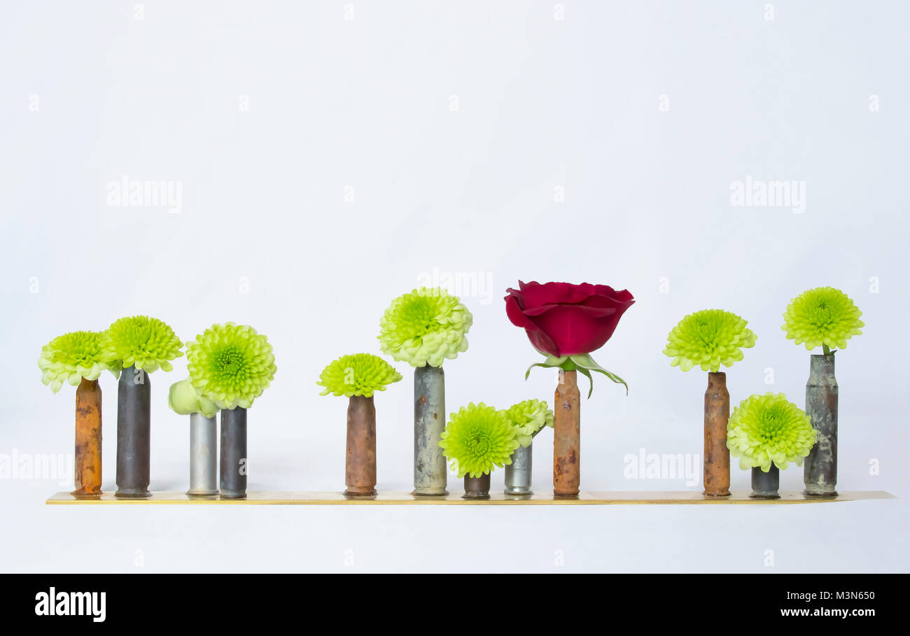 Row of Rusted Antique Bullet Shells Casings Hold Flowers and One Red Rose on White Background Stock Photo