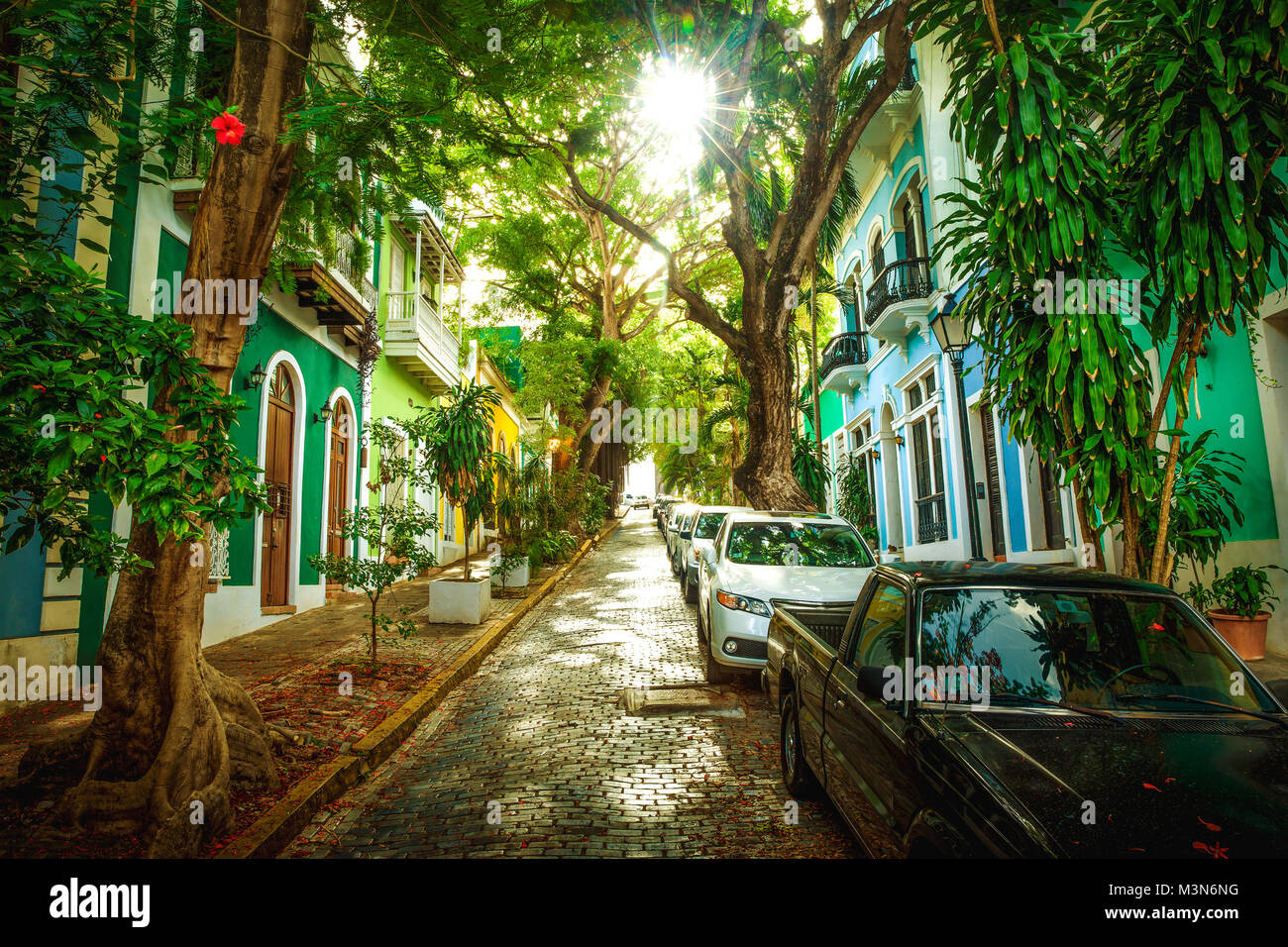 Beautiful street full of trees in old San Juan, Puerto Rico Stock Photo