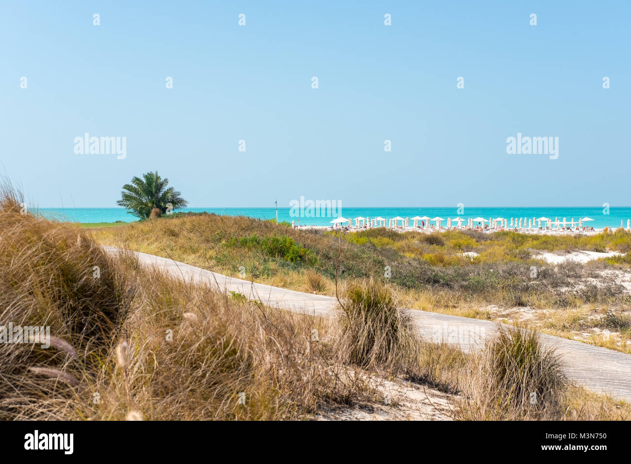 Saadiyat Island Public Beach, Resort, Relaxing at beach Stock Photo