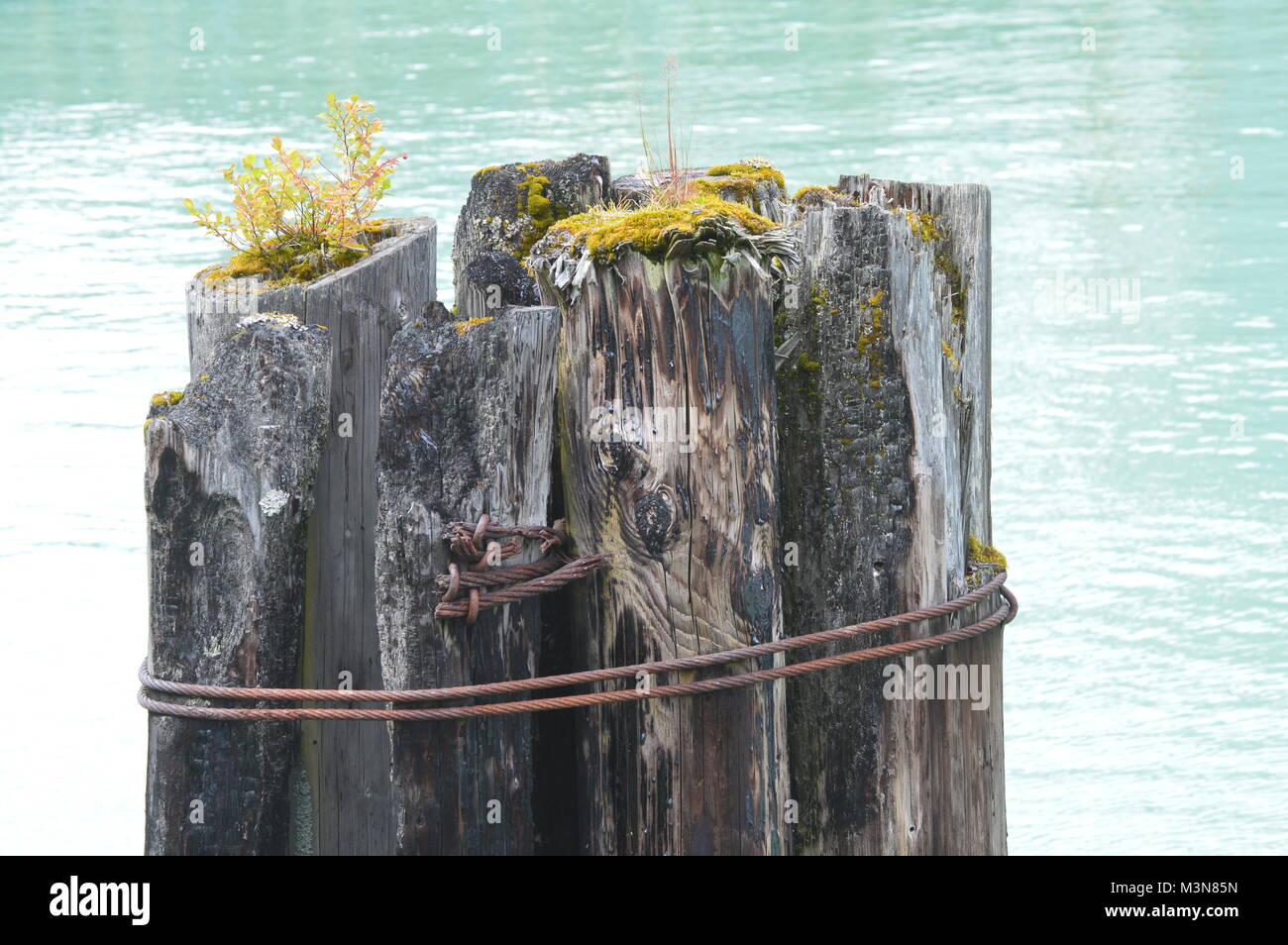 Old poller in Candian harbour in Bella Coola, Canada Stock Photo