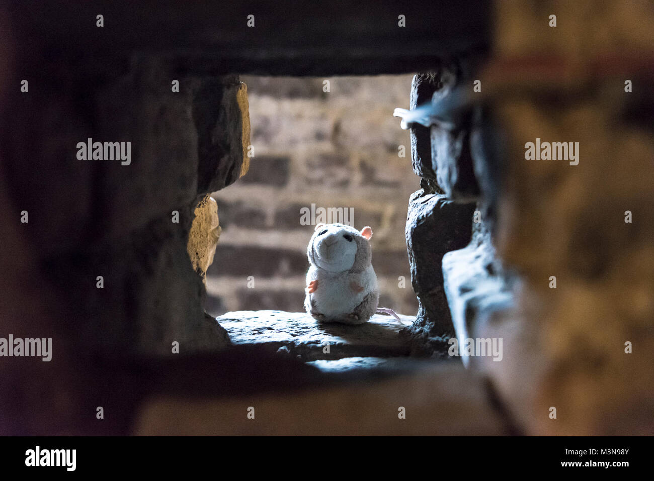Plush hamster placed near a medieval brick wall, portrait Stock Photo