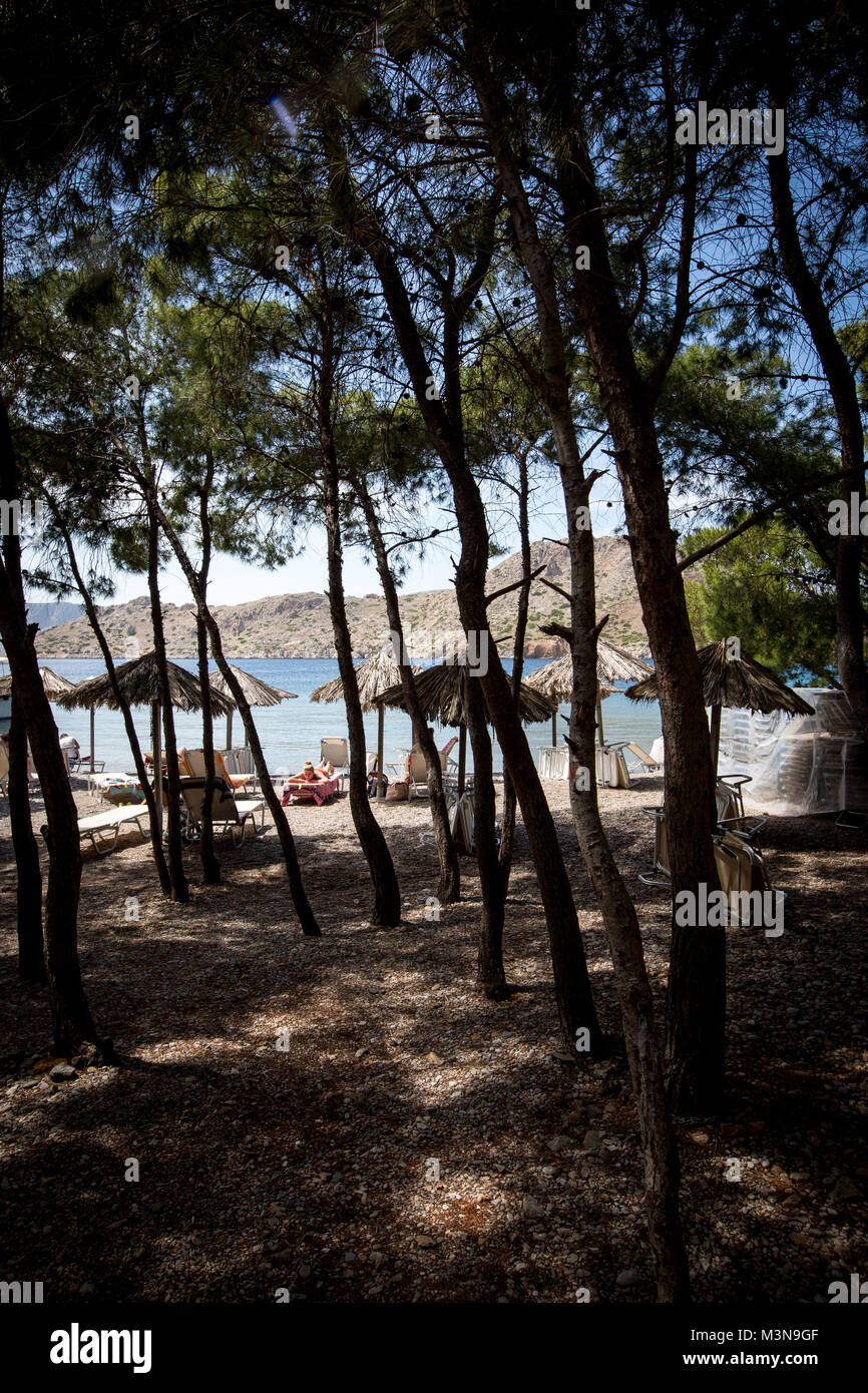 View of beach through trees in Hydra, Greece Stock Photo
