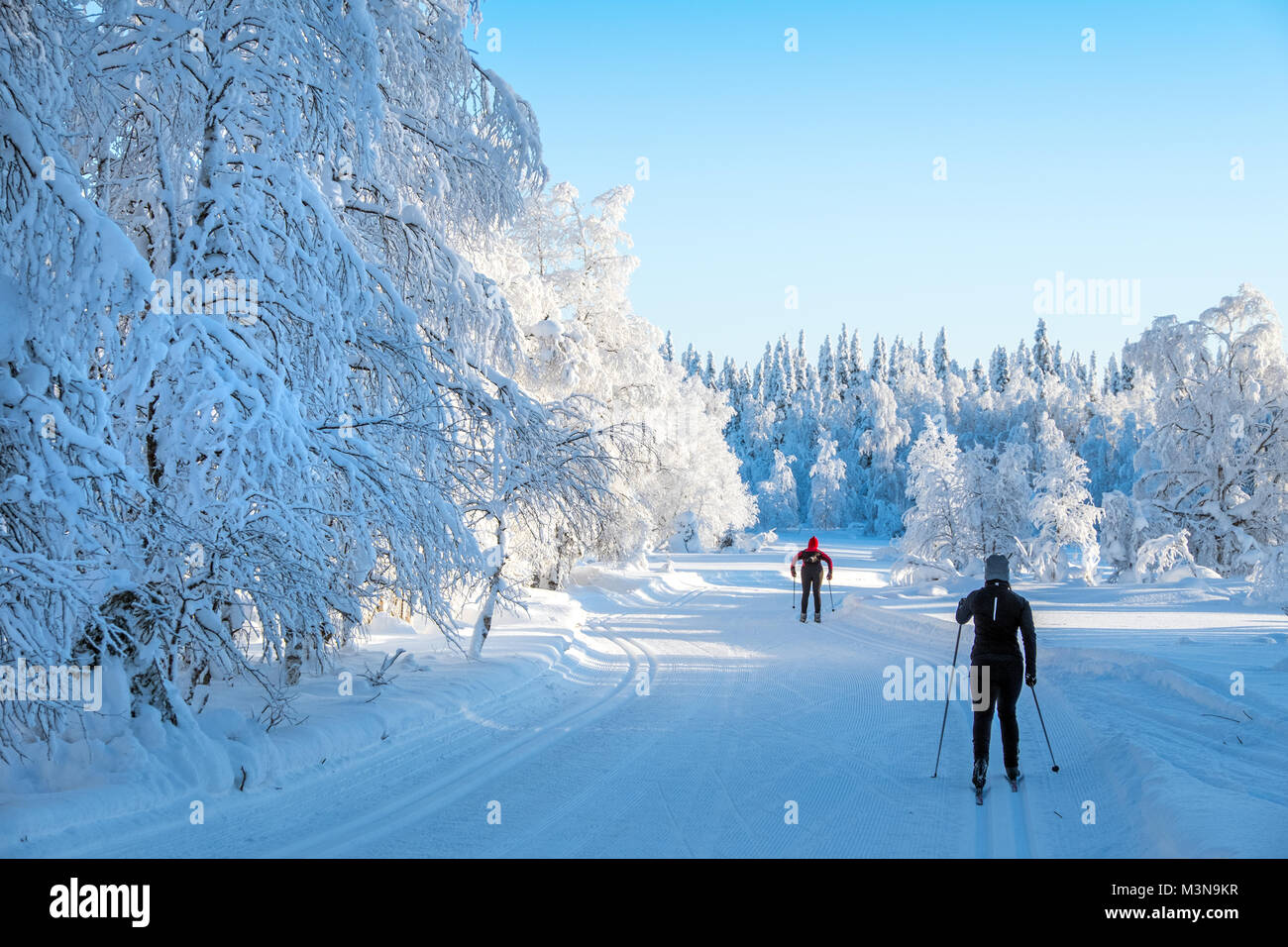 Cross country skiing in the forests around Ruka in Finland Stock Photo