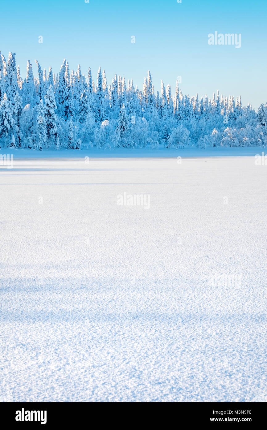 Snow-laden forests of northern Finland Stock Photo