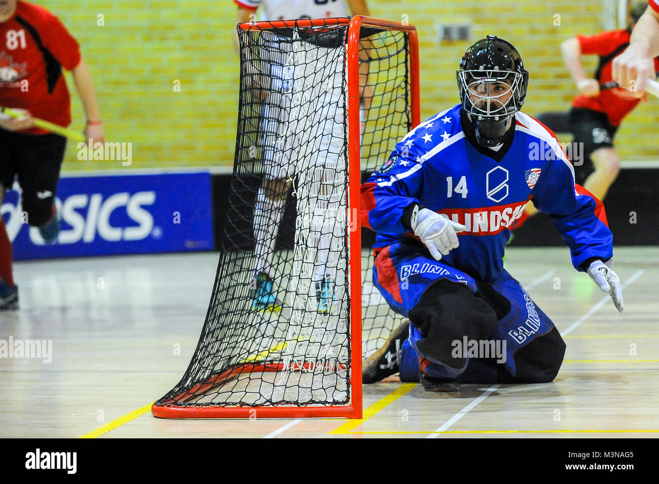 February 10, 2018 - Toronto, Ontario, Canada. Keener Cam (Goalkeeper) in  action during the USA vs Canada floorball national team match Stock Photo -  Alamy