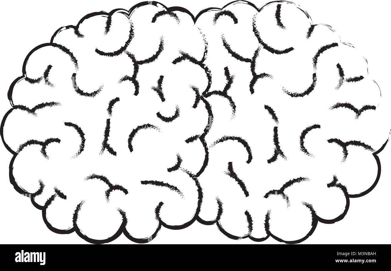 brain human isolated icon Stock Vector