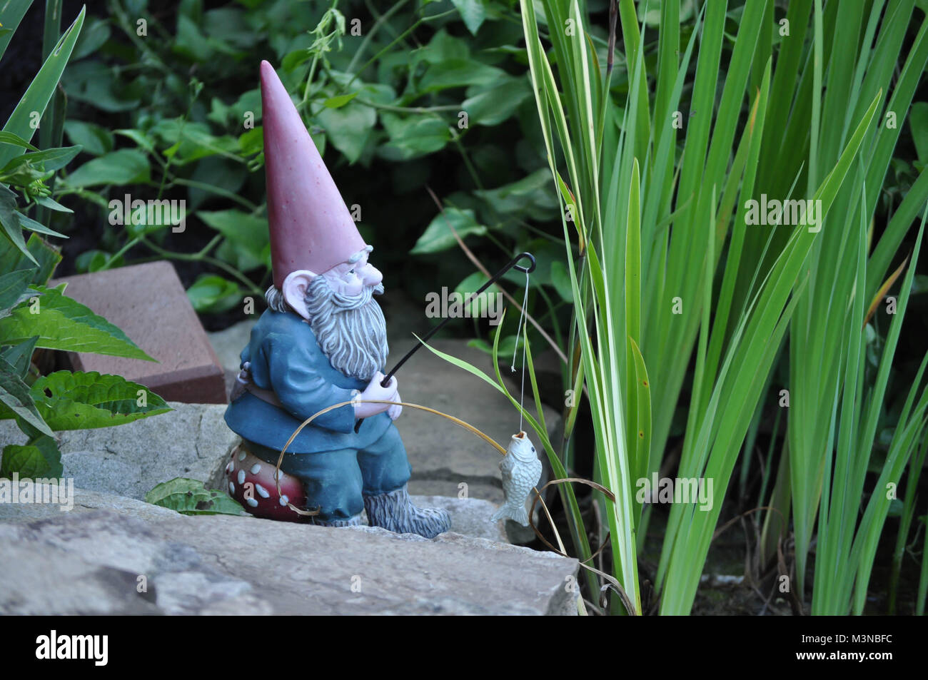 Garden gnome fishing rod on hi-res stock photography and images