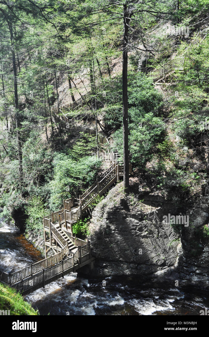 Natural Wood Stairs and Walkways Through a Forest Stock Photo