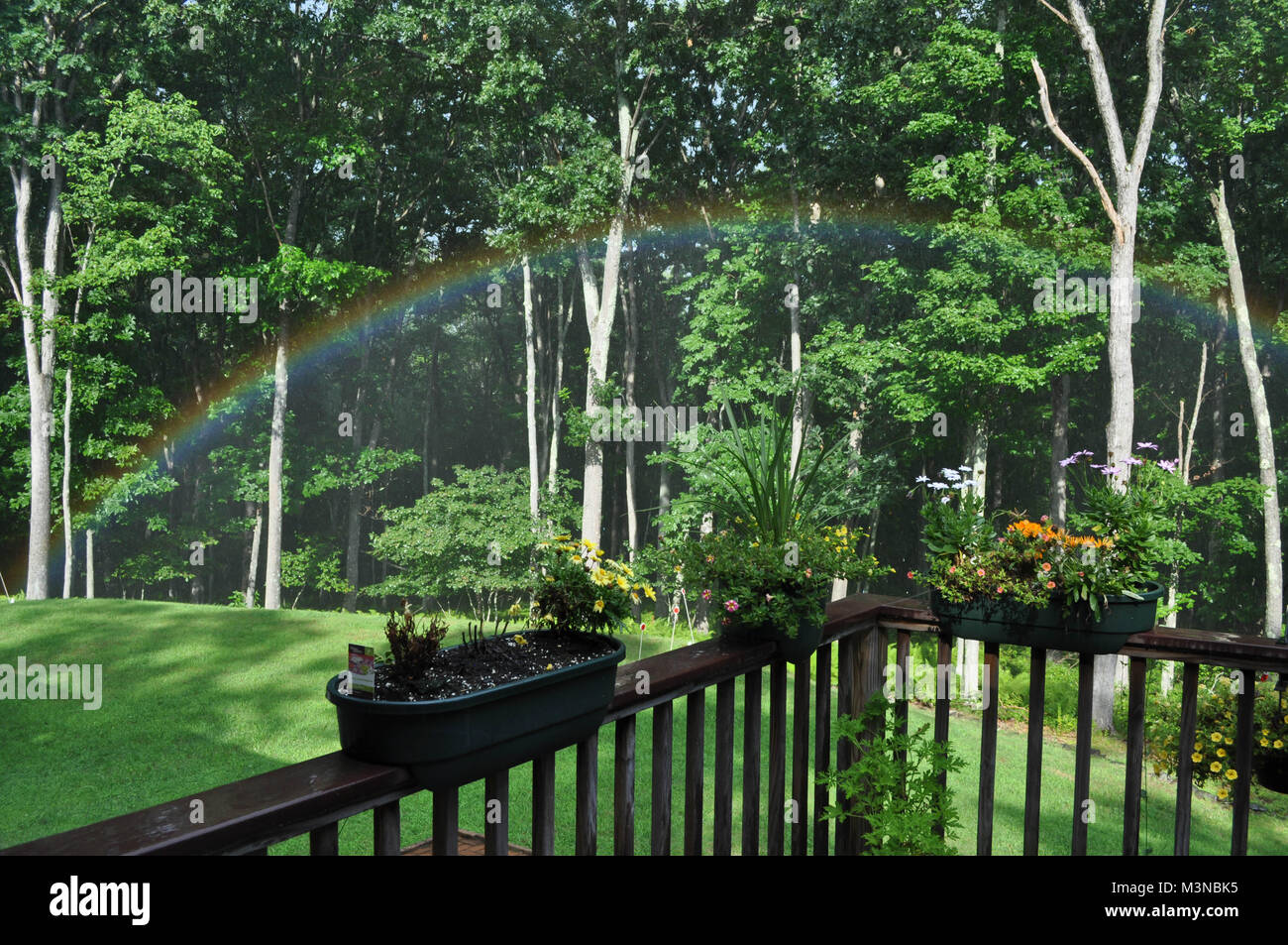 Rainbow in My Backyard Stock Photo Alamy