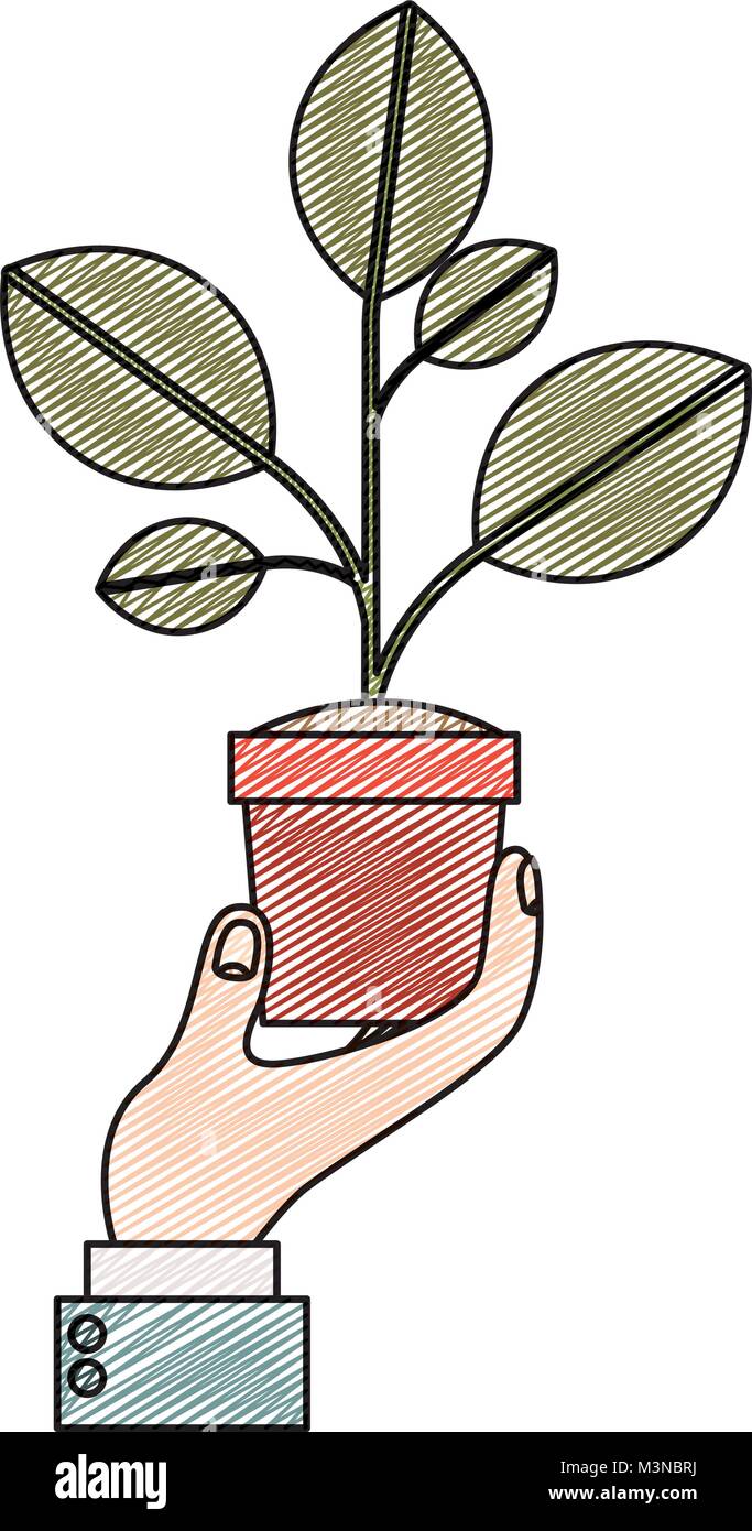 hand with plant in pot isolated icon Stock Vector Image & Art - Alamy