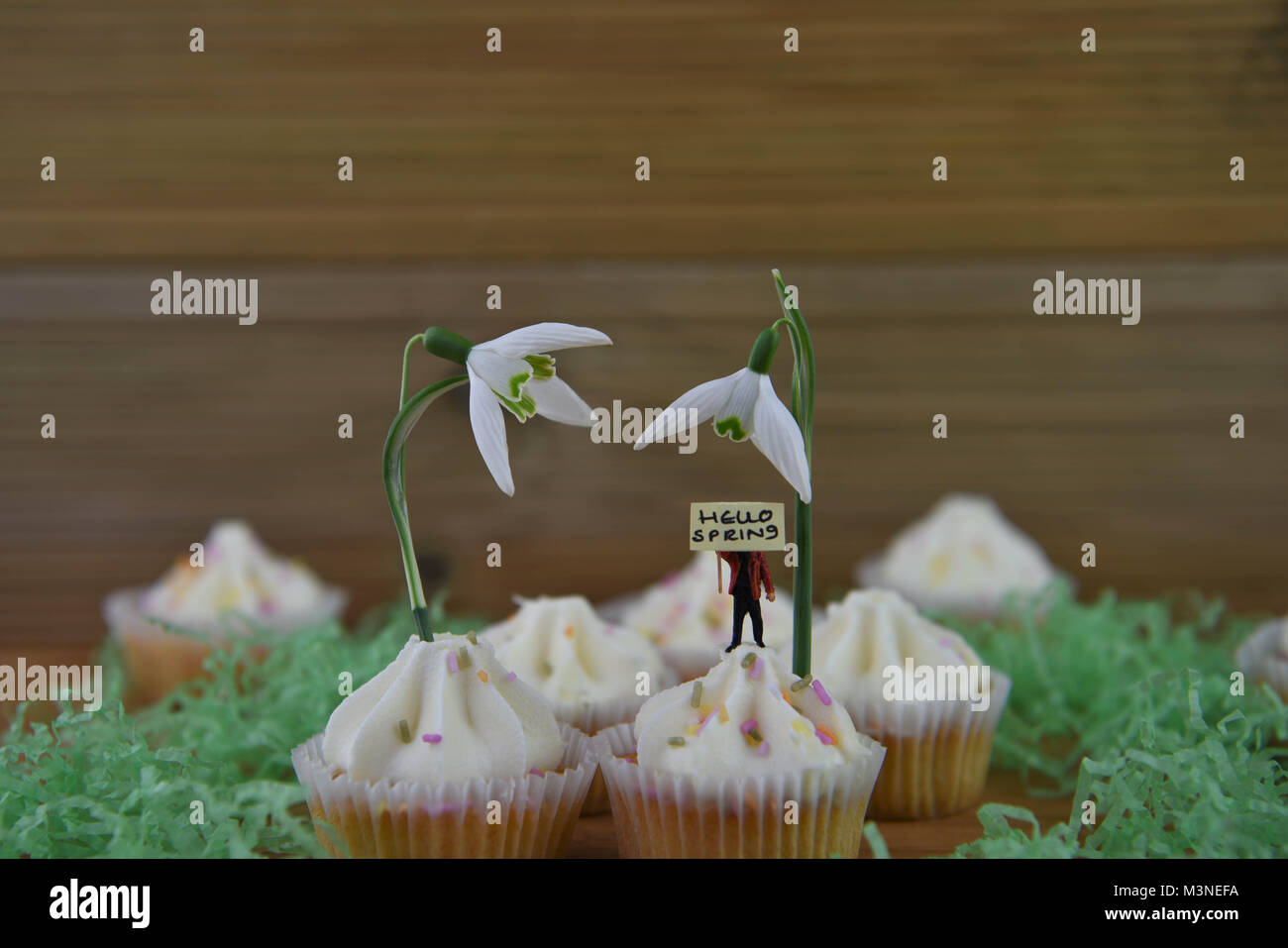 springtime fresh snowdrops on cupcakes with cute miniature person figurine holding a sign for Hello spring Stock Photo