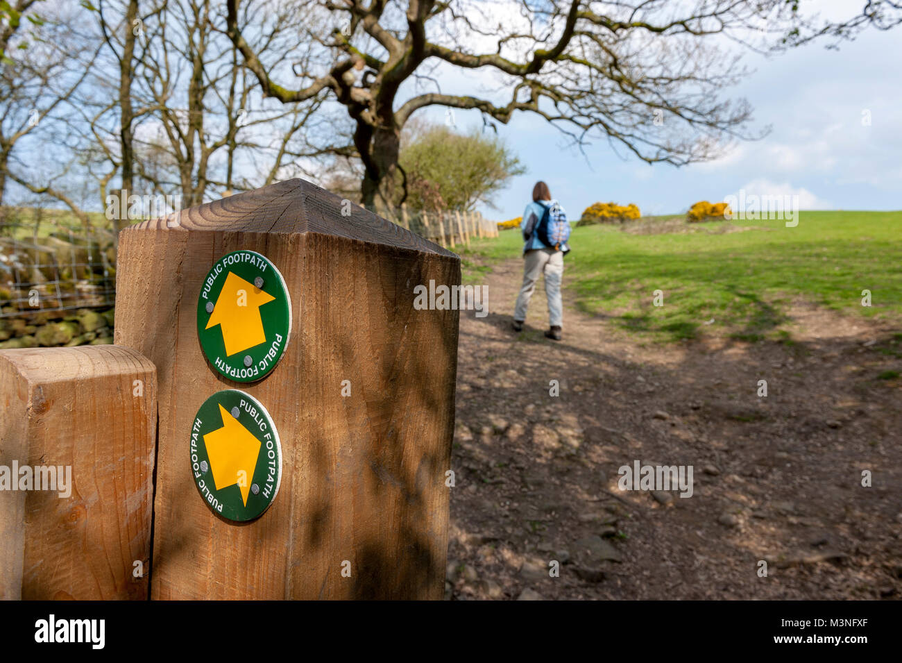 Public footpath arrows guiding walkers along the Lancashire moorland footpaths Stock Photo