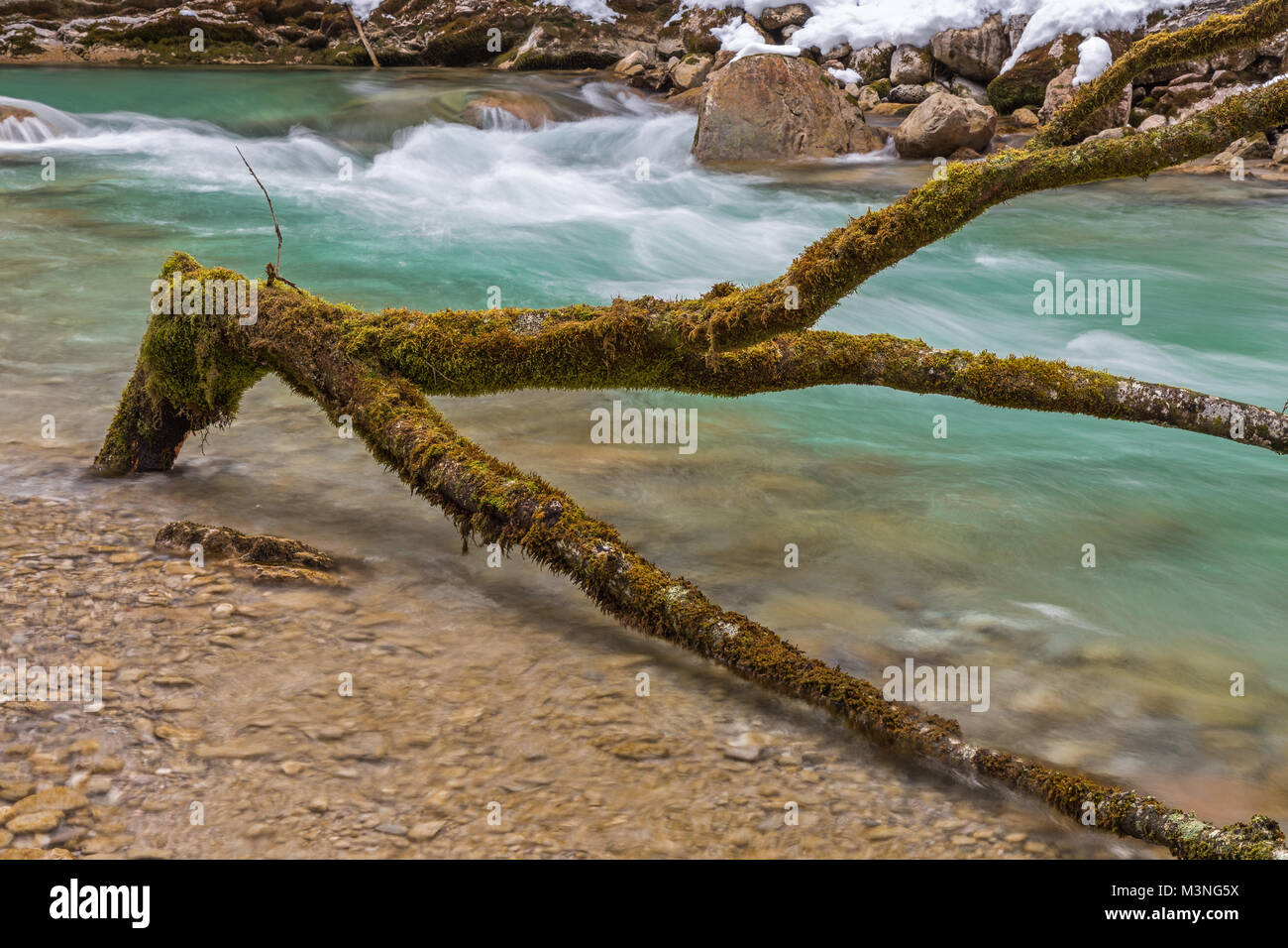 Rissbach creek, Bavaria, Germany, in winter Stock Photo