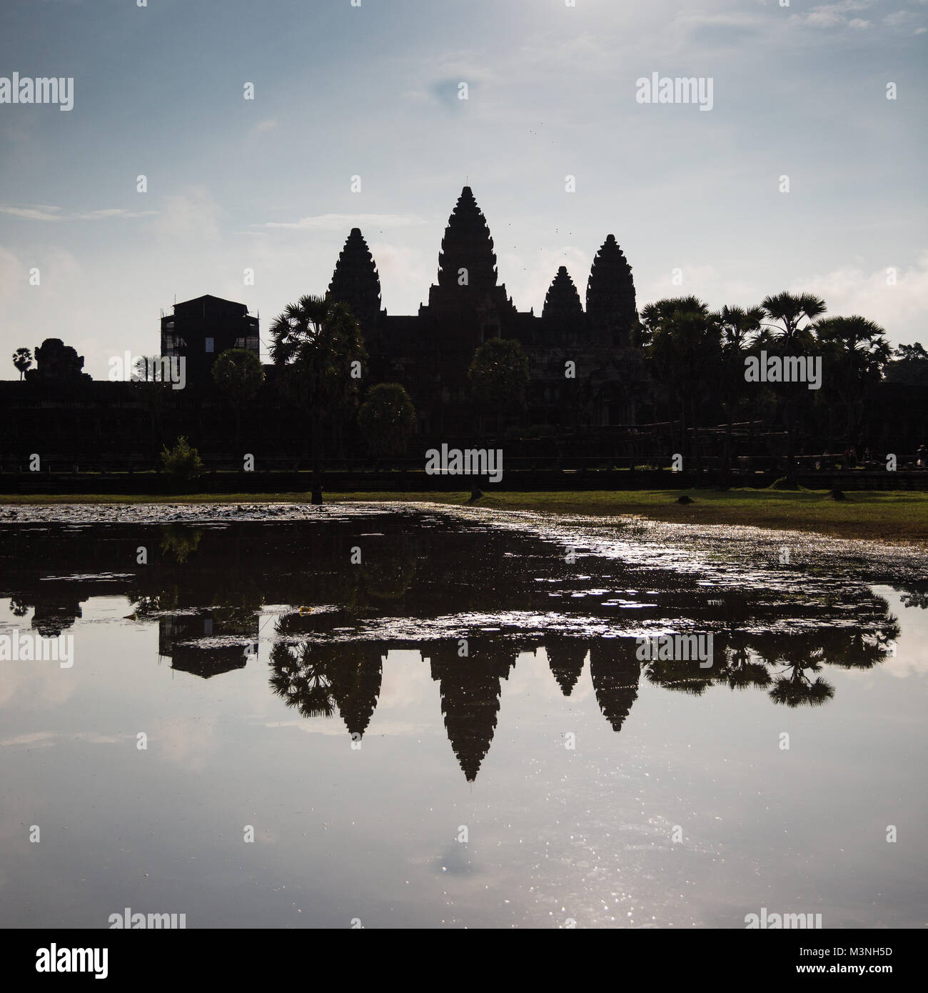My Image 10