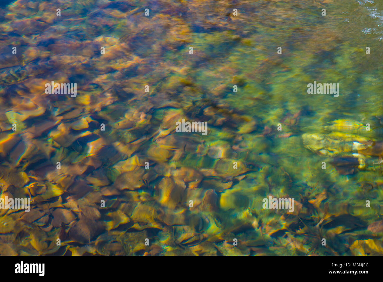 River water. Stock Photo