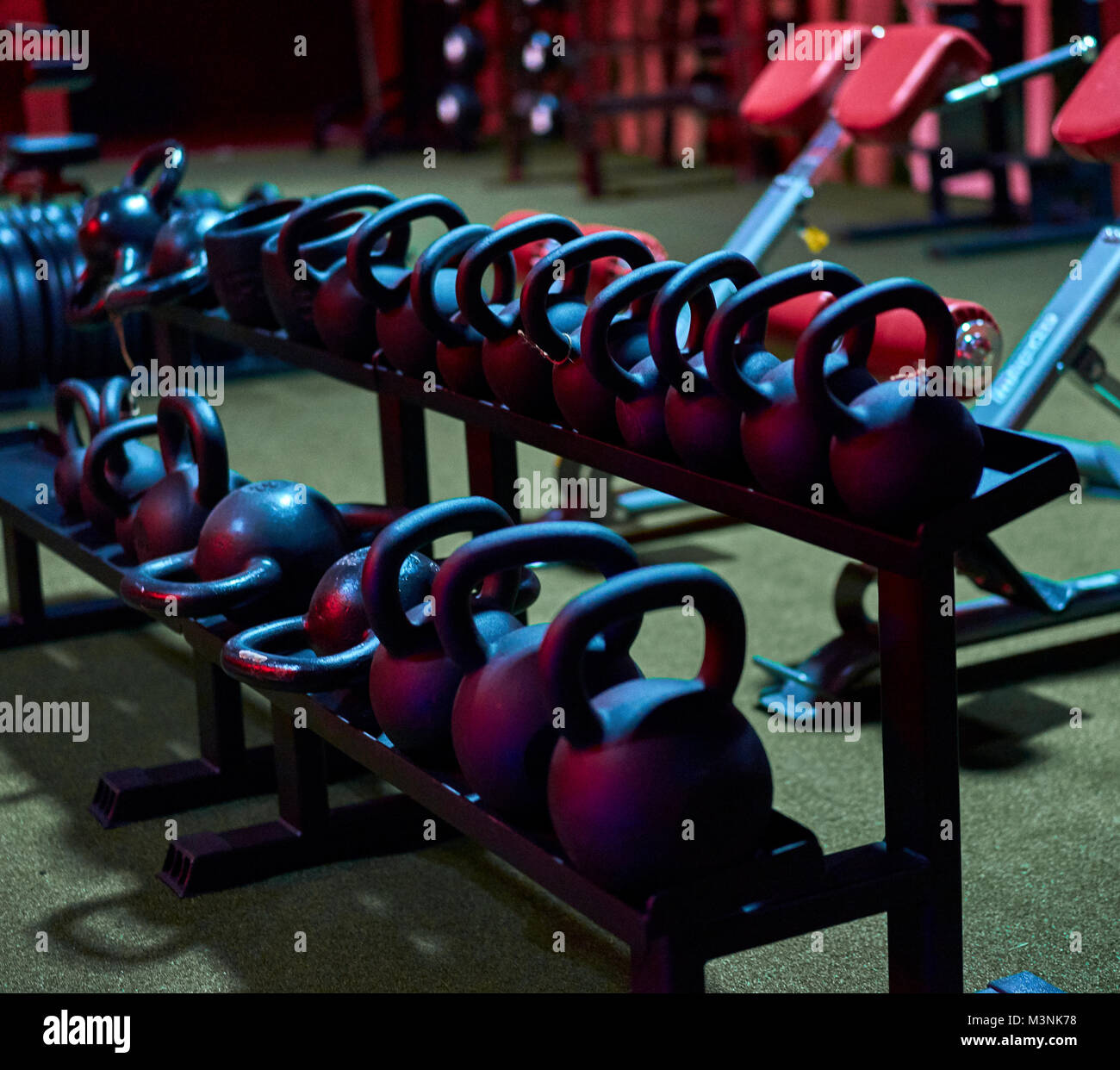 rack with weights in the gym Stock Photo Alamy