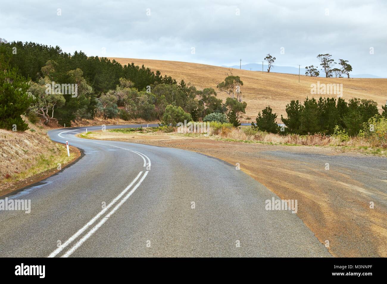 Road in Tasmania Stock Photo - Alamy